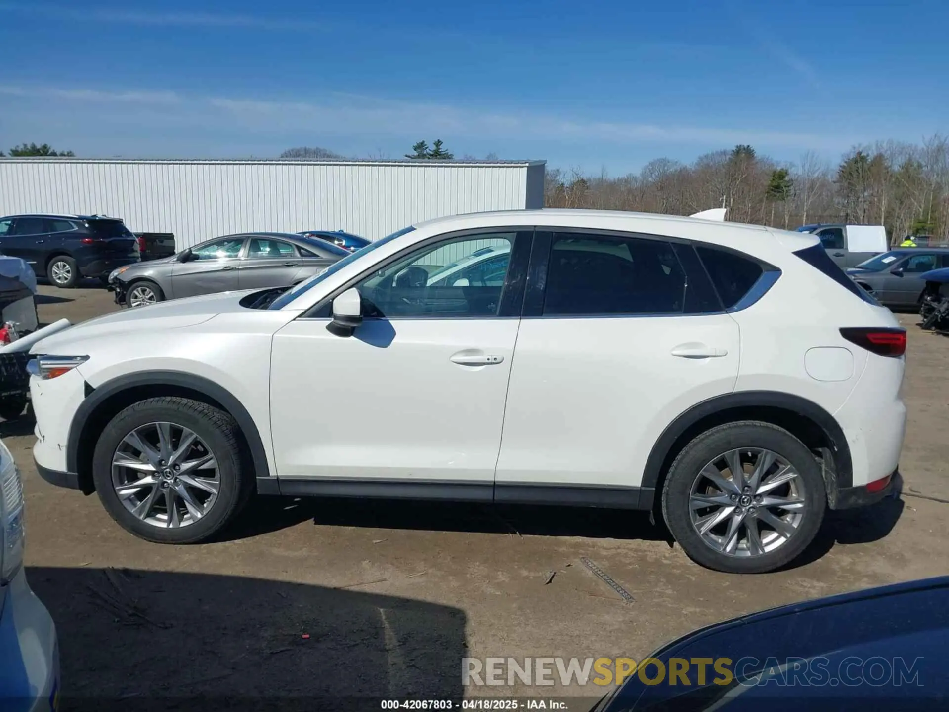 14 Photograph of a damaged car JM3KFBDM2K1506028 MAZDA CX-5 2019