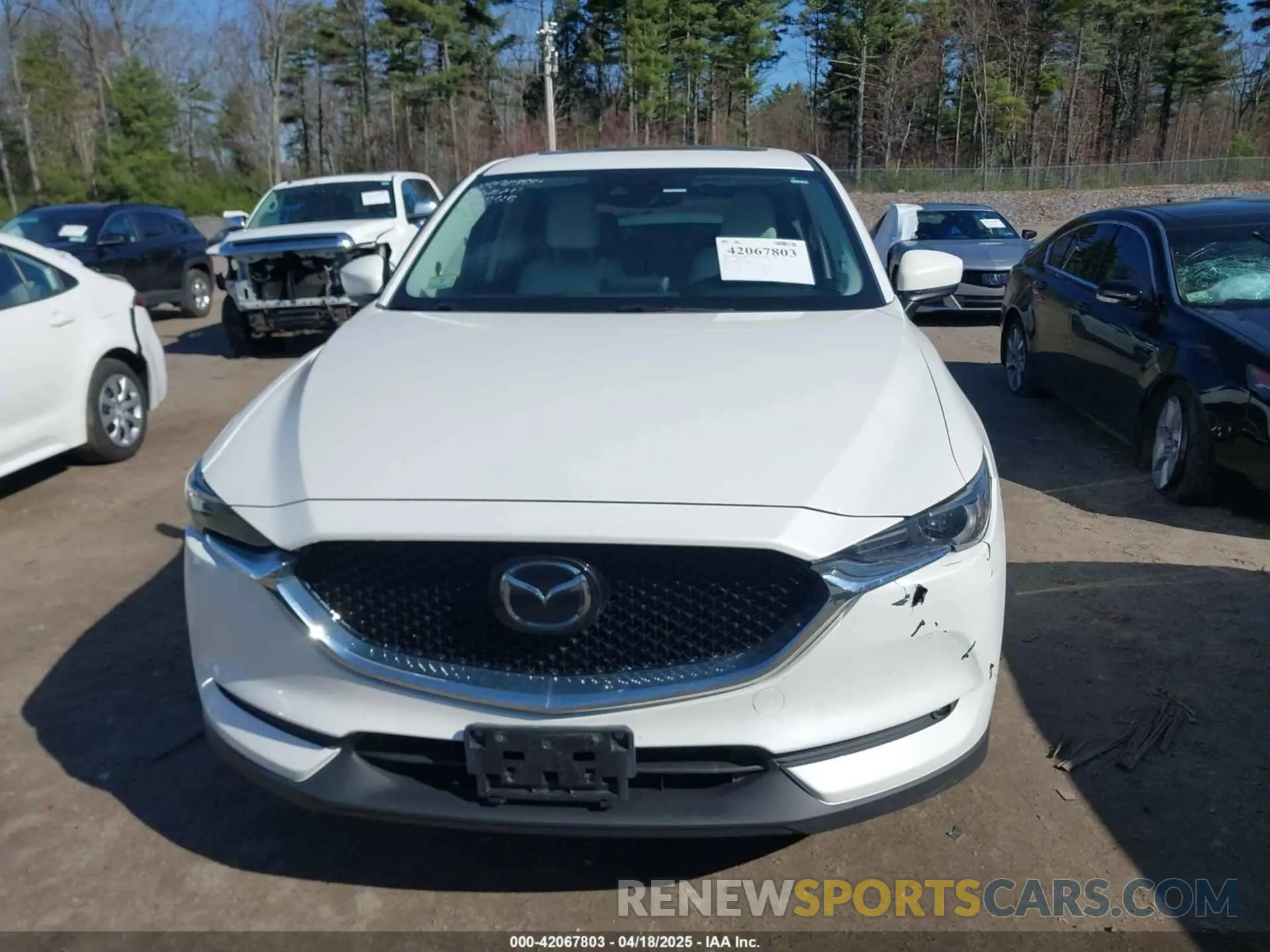 17 Photograph of a damaged car JM3KFBDM2K1506028 MAZDA CX-5 2019