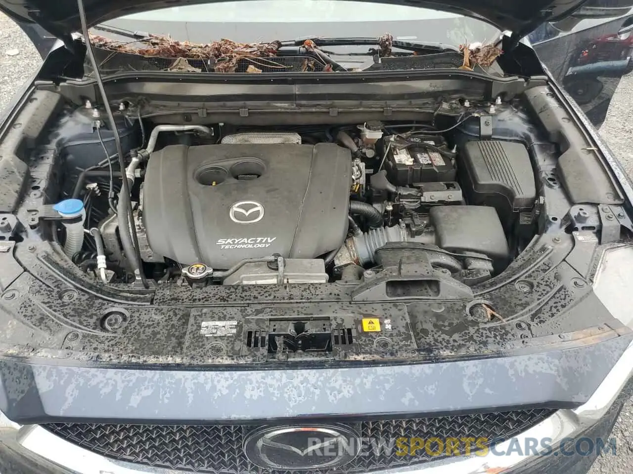 12 Photograph of a damaged car JM3KFBDM4K0556693 MAZDA CX-5 2019