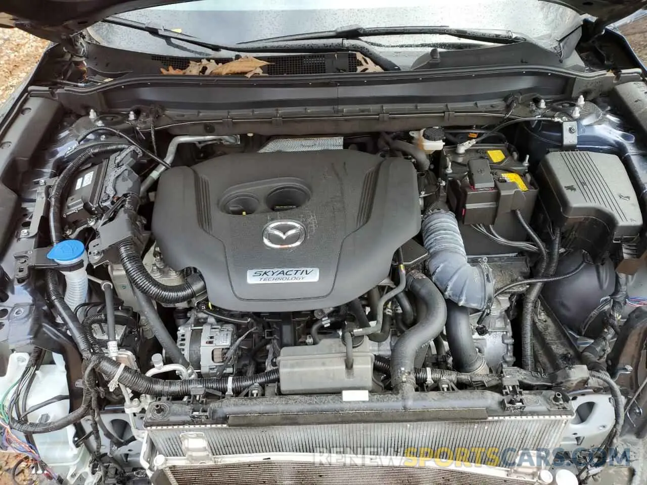 12 Фотография поврежденного автомобиля JM3KFBDY2K0644273 MAZDA CX-5 2019