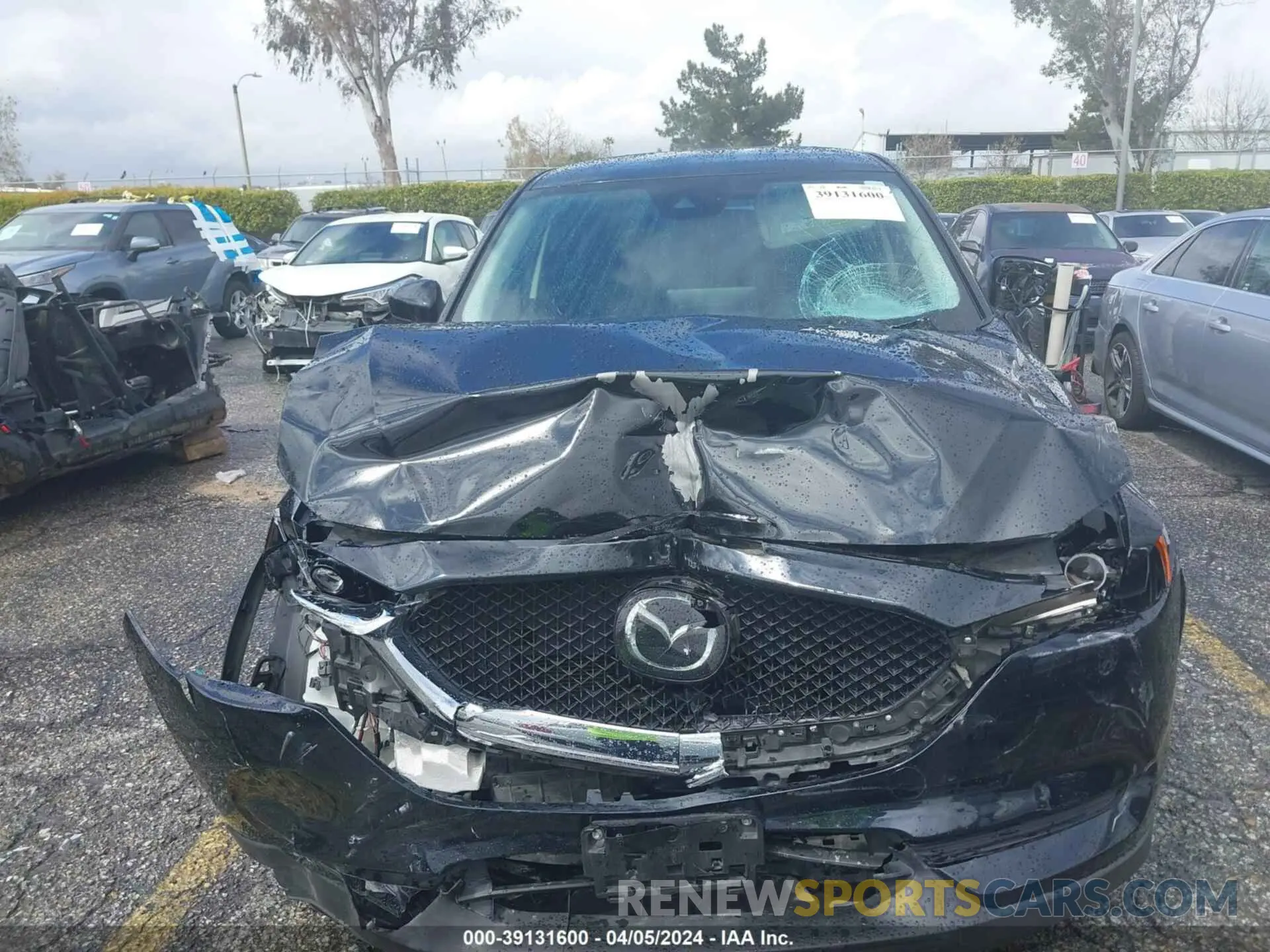 11 Photograph of a damaged car JM3KFABM1M0356760 MAZDA CX-5 2021