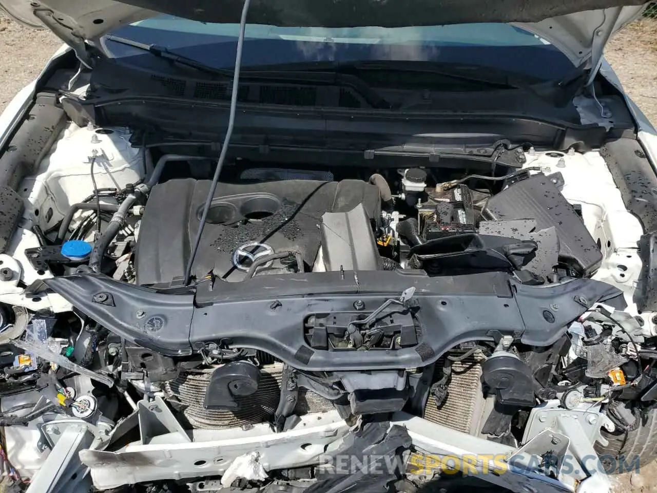 12 Photograph of a damaged car JM3KFADM3M1329809 MAZDA CX-5 2021