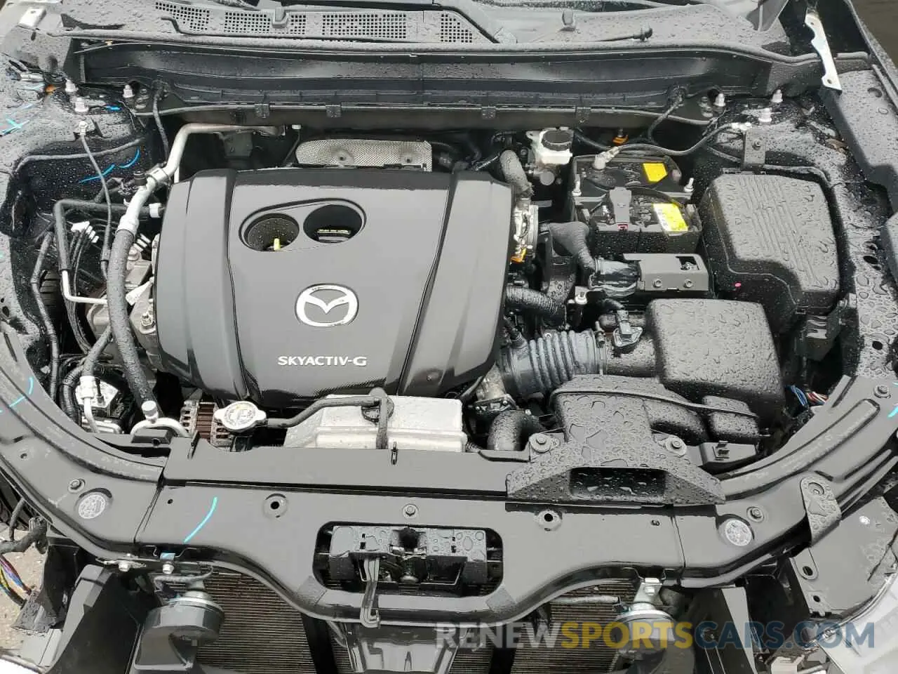 12 Photograph of a damaged car JM3KFBCM5M1408115 MAZDA CX-5 2021