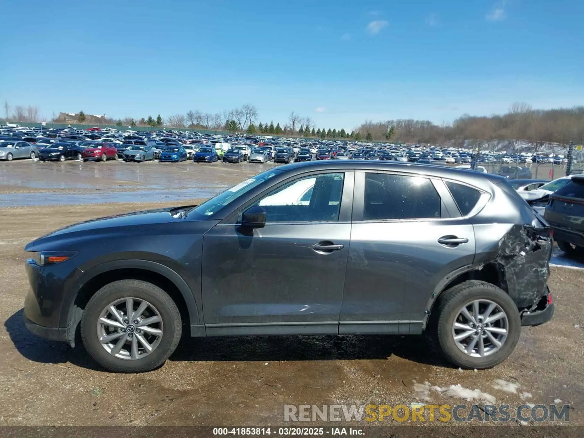 14 Photograph of a damaged car JM3KFBBM4N0599650 MAZDA CX-5 2022