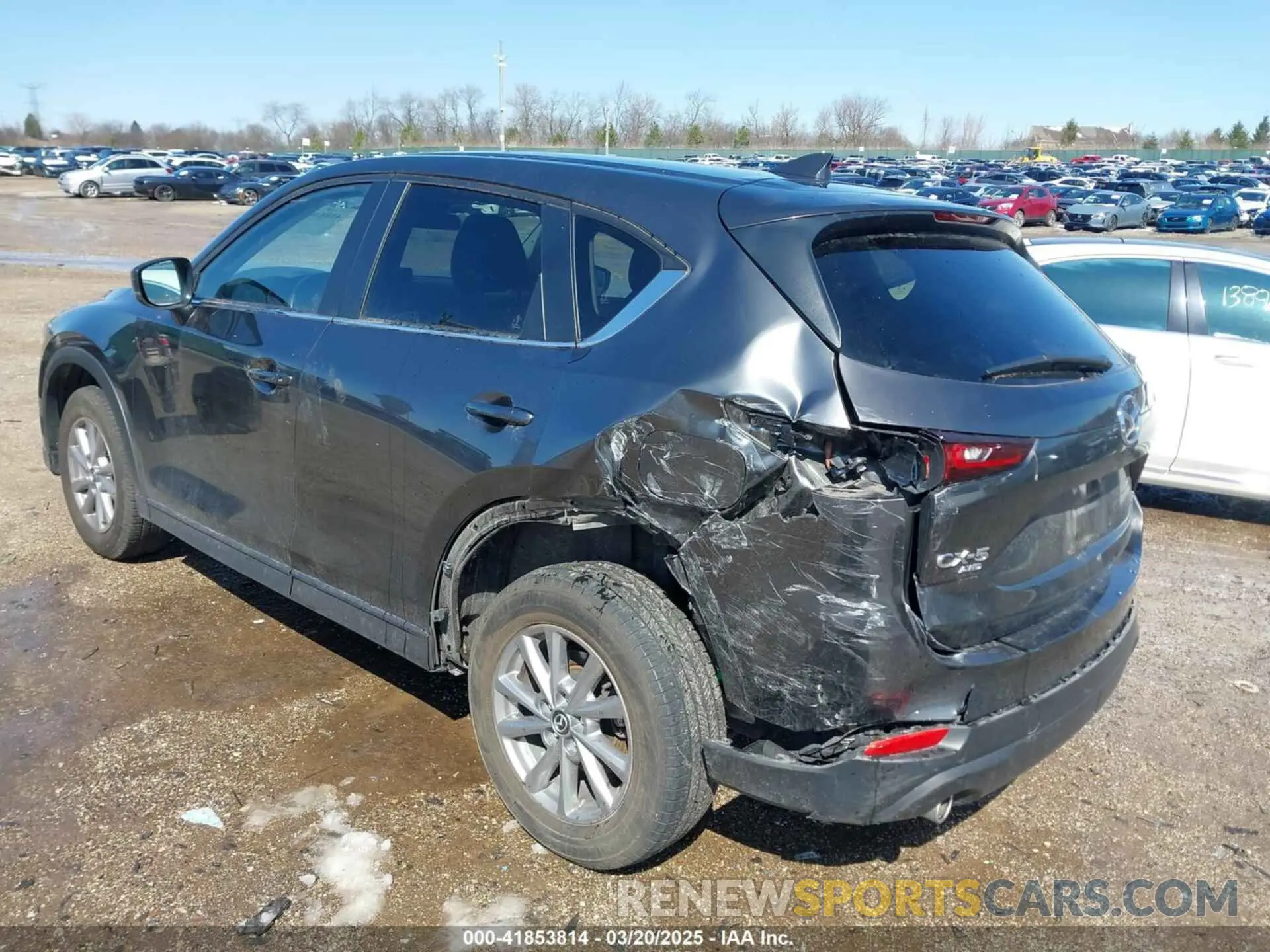 3 Photograph of a damaged car JM3KFBBM4N0599650 MAZDA CX-5 2022