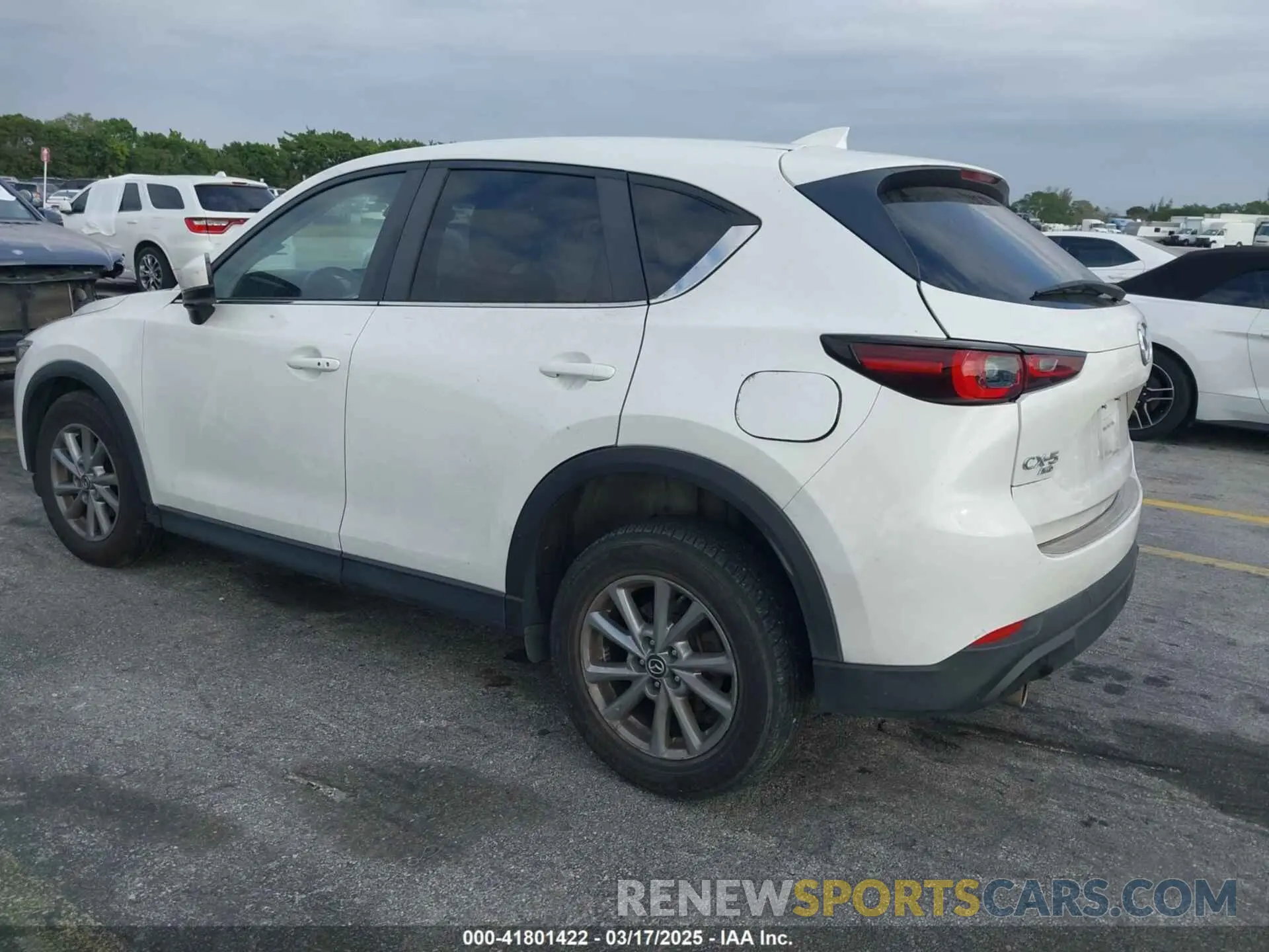 3 Photograph of a damaged car JM3KFBCM3N0570607 MAZDA CX-5 2022