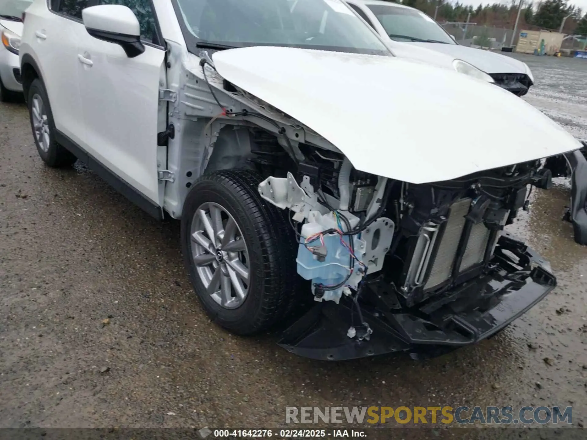 19 Photograph of a damaged car JM3KFBCM1P0236983 MAZDA CX-5 2023