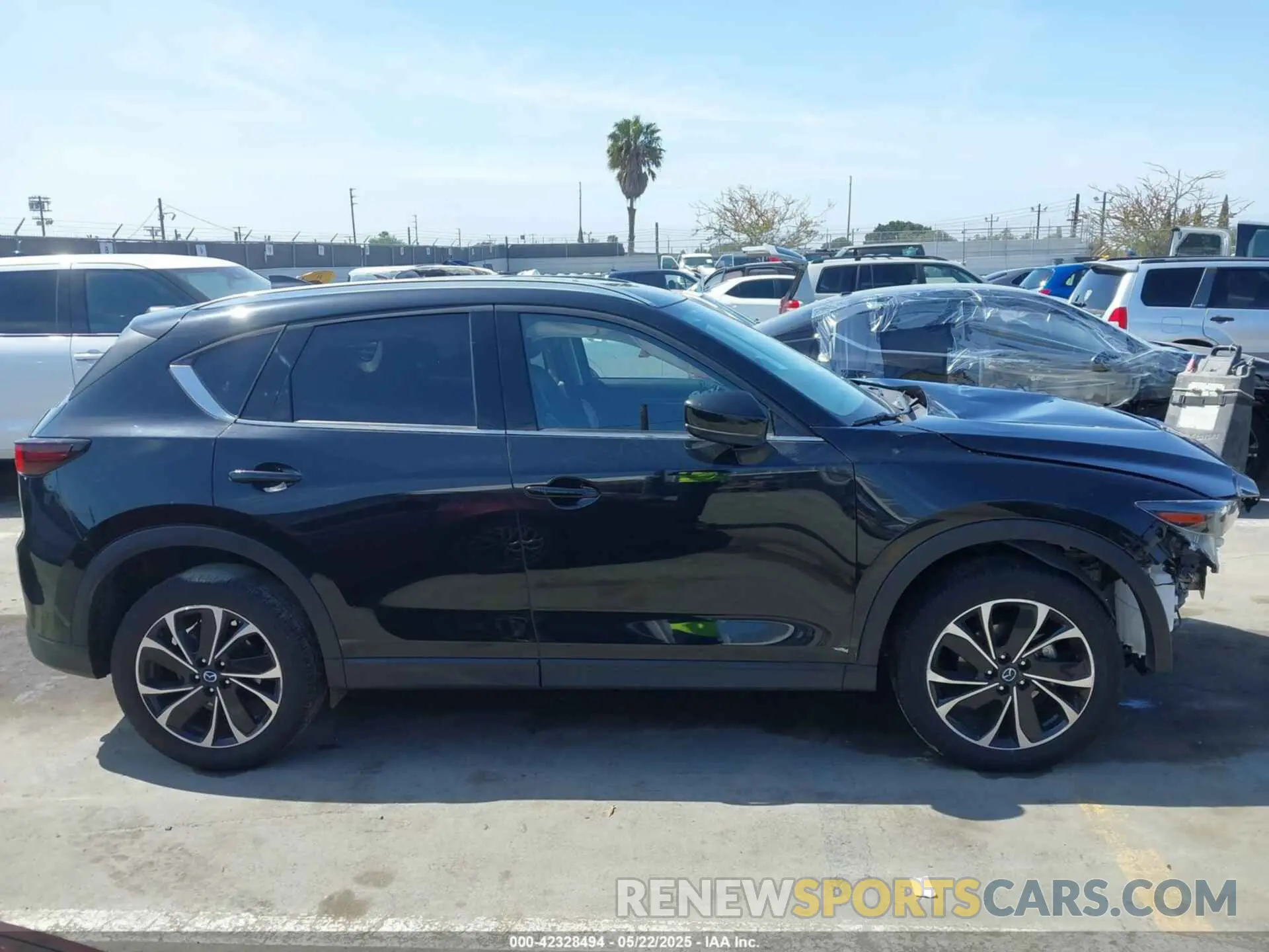 12 Photograph of a damaged car JM3KFBDM3P0218645 MAZDA CX-5 2023