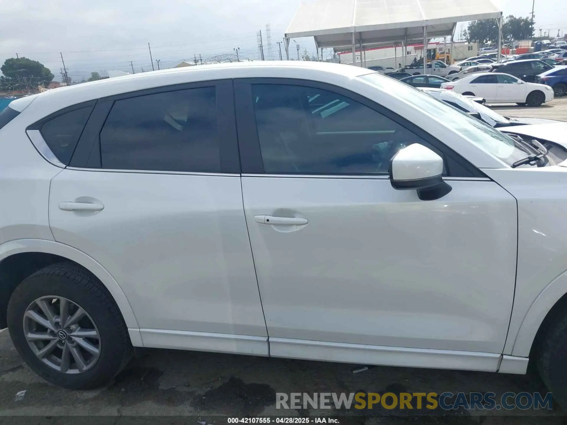 14 Фотография поврежденного автомобиля JM3KFBBL8R0433886 MAZDA CX-5 2024