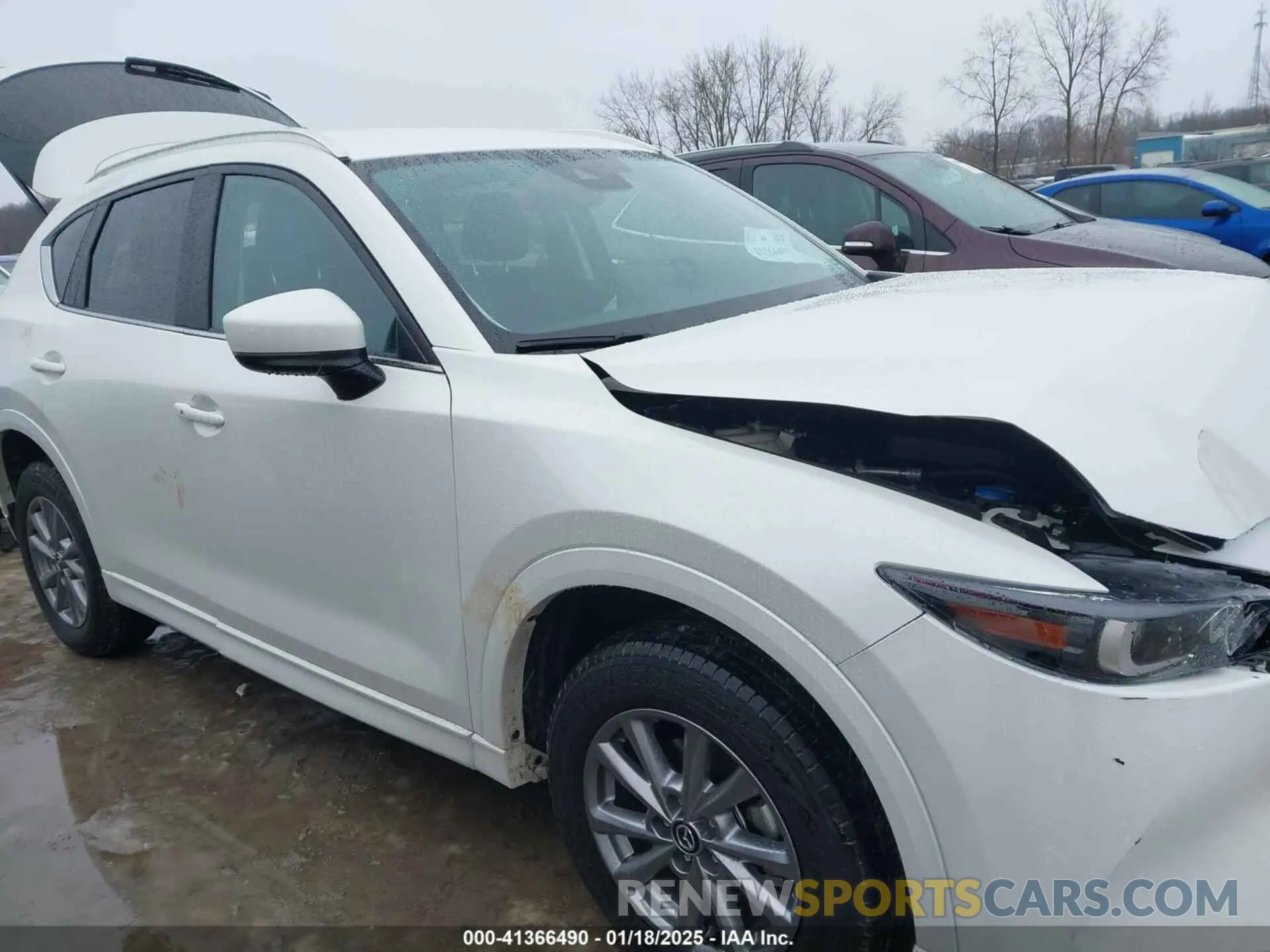 13 Photograph of a damaged car JM3KFBBM3R0356076 MAZDA CX-5 2024