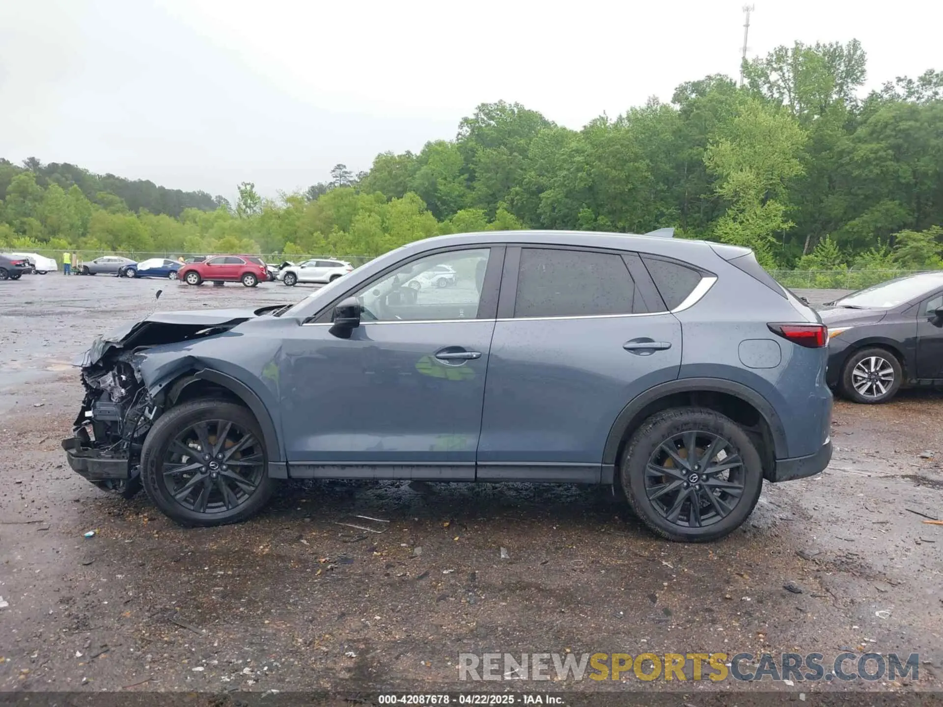 14 Photograph of a damaged car JM3KFBCL1R0457803 MAZDA CX-5 2024
