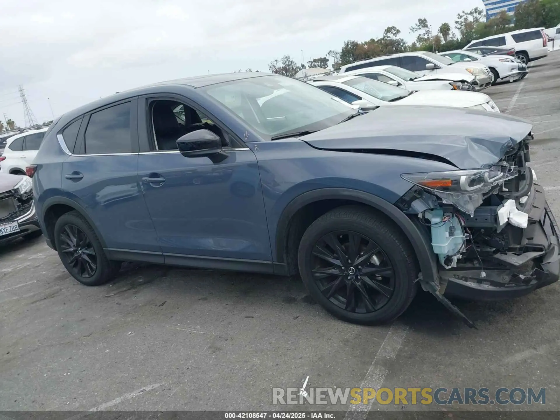 14 Photograph of a damaged car JM3KFBCL6R0482860 MAZDA CX-5 2024