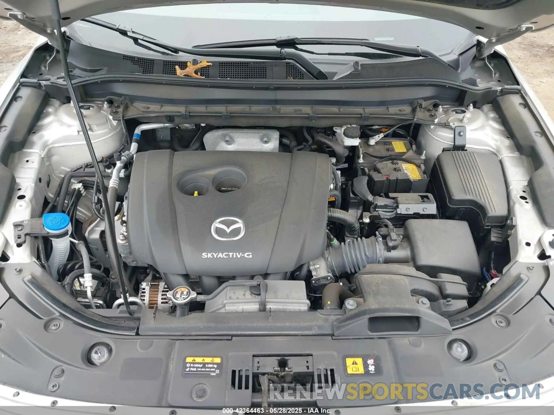 10 Photograph of a damaged car JM3KFBCL7R0426863 MAZDA CX-5 2024