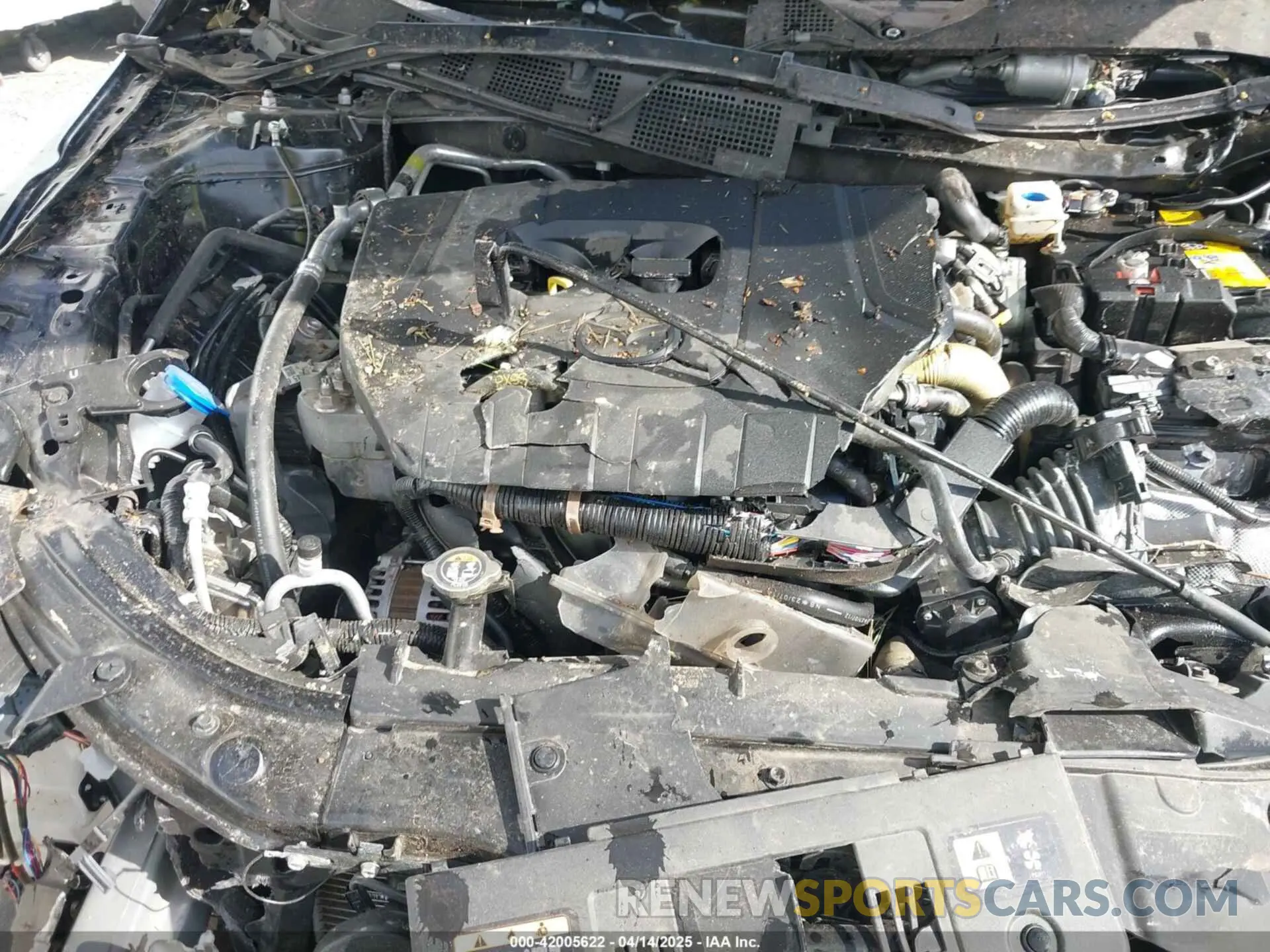 10 Photograph of a damaged car JM3KFBCM9R0389193 MAZDA CX-5 2024