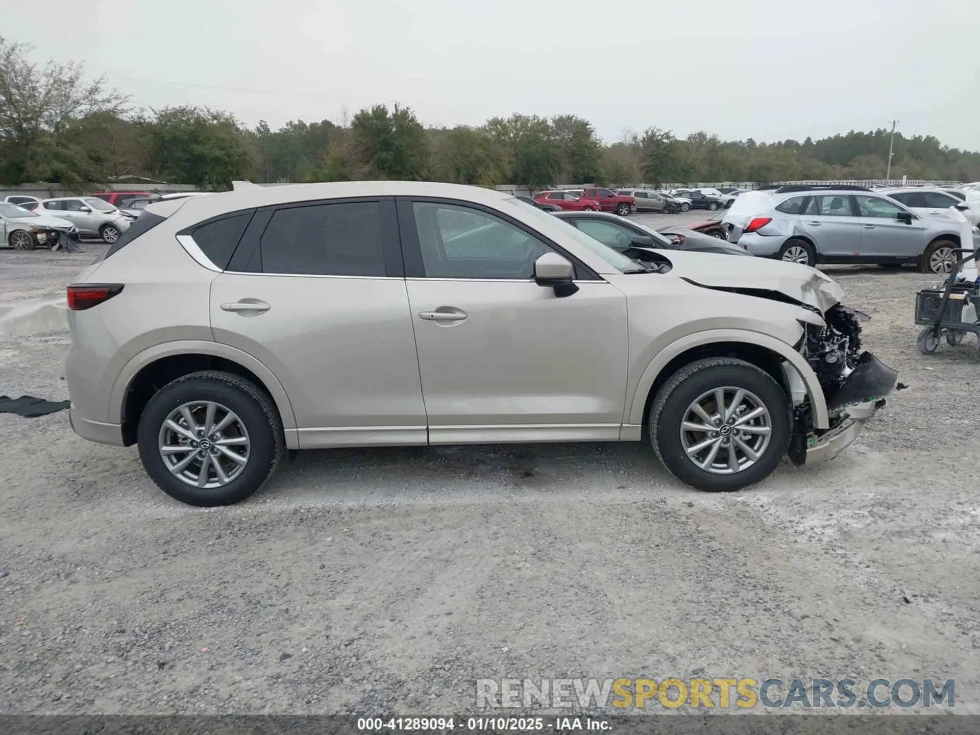 13 Фотография поврежденного автомобиля JM3KFBBL2S0553818 MAZDA CX-5 2025