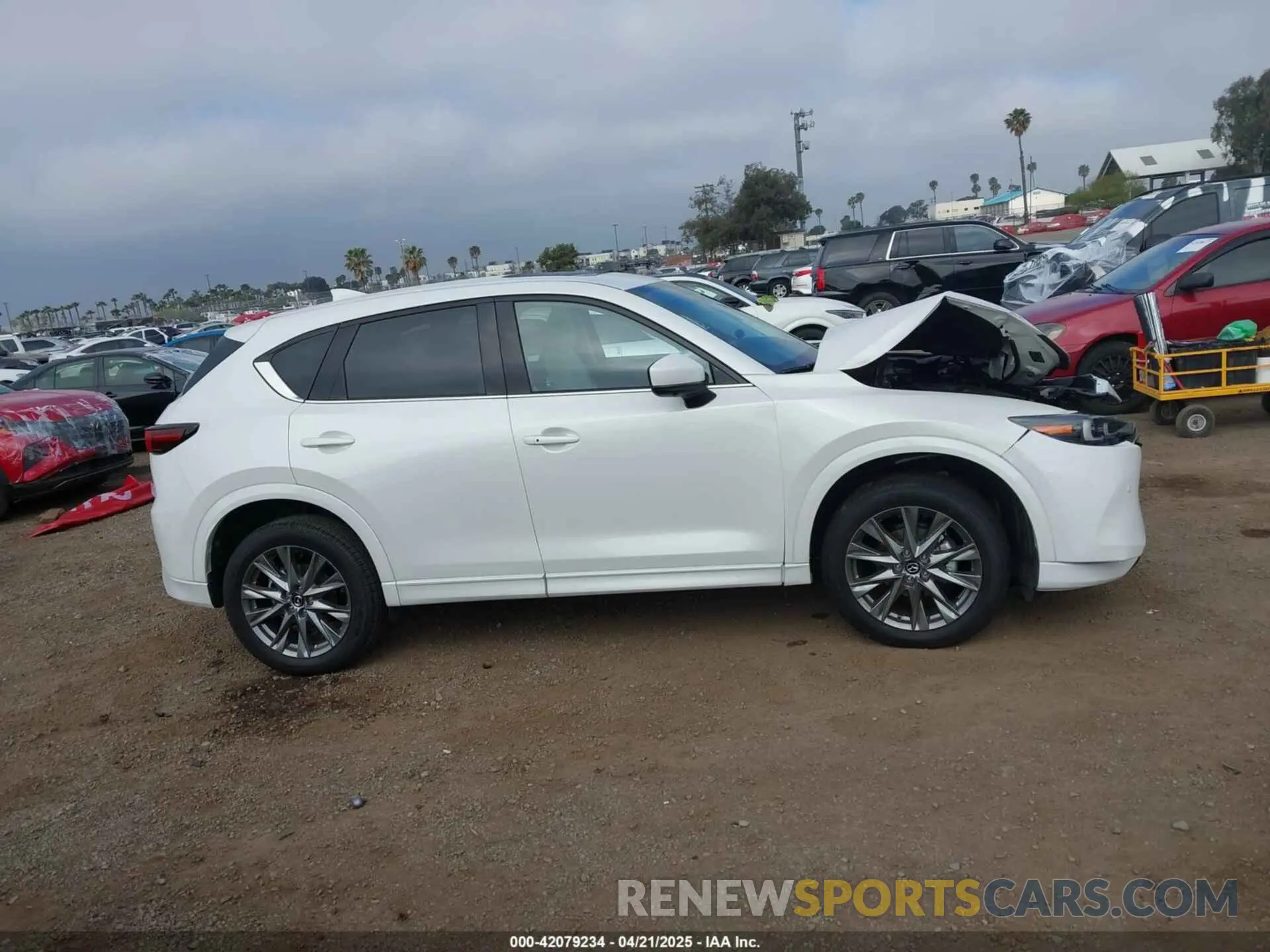 14 Фотография поврежденного автомобиля JM3KFBEM2S0637206 MAZDA CX-5 2025