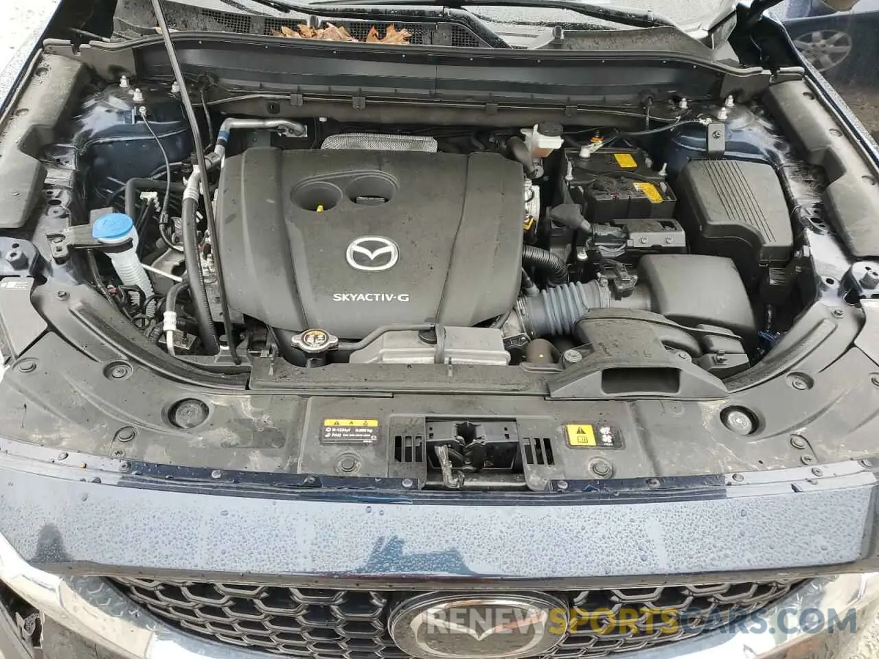 12 Photograph of a damaged car JM3KFBCM4P0271940 MAZDA CX-5 PREFE 2023