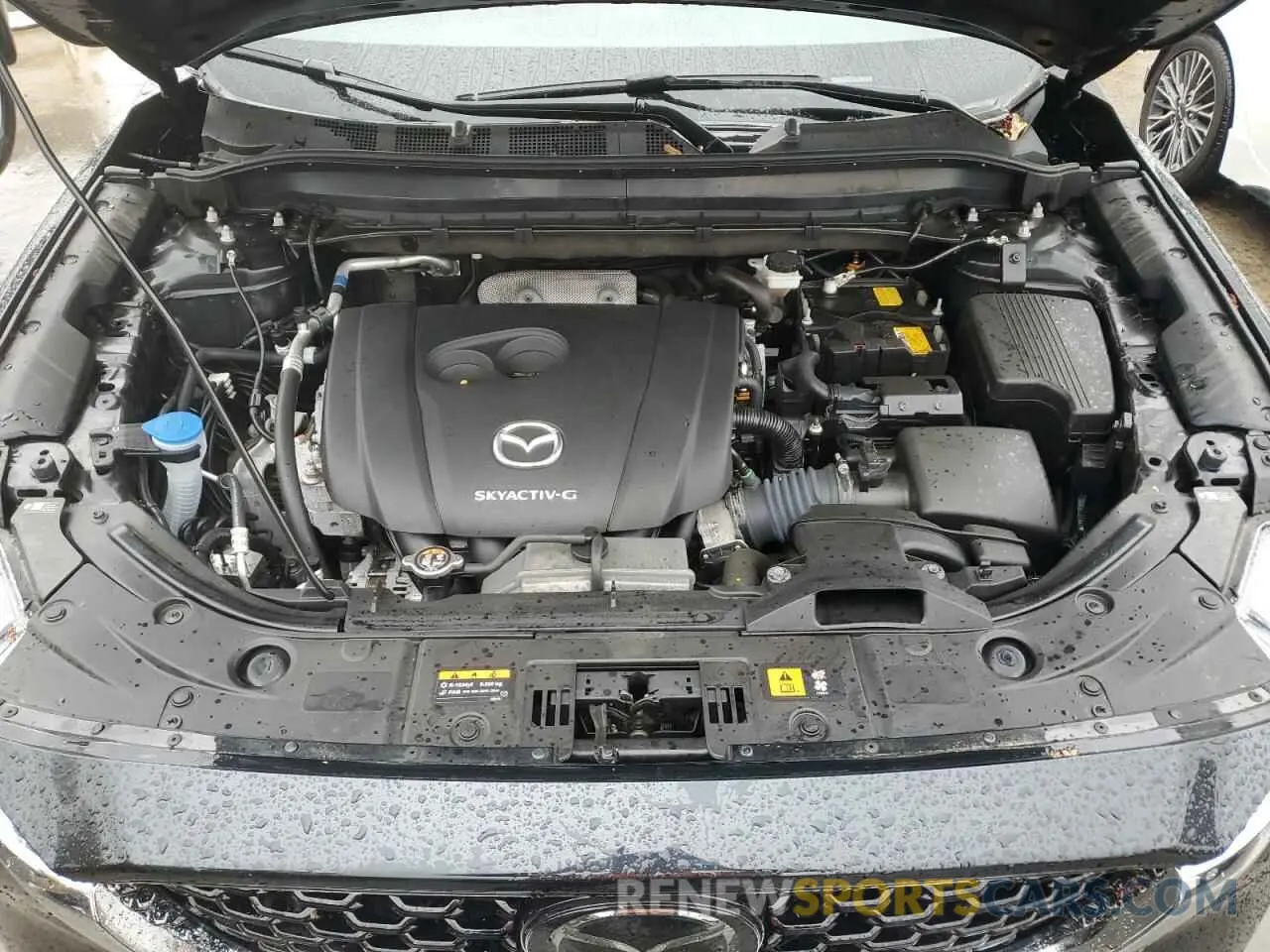 12 Photograph of a damaged car JM3KFBCL6R0469607 MAZDA CX-5 PREFE 2024