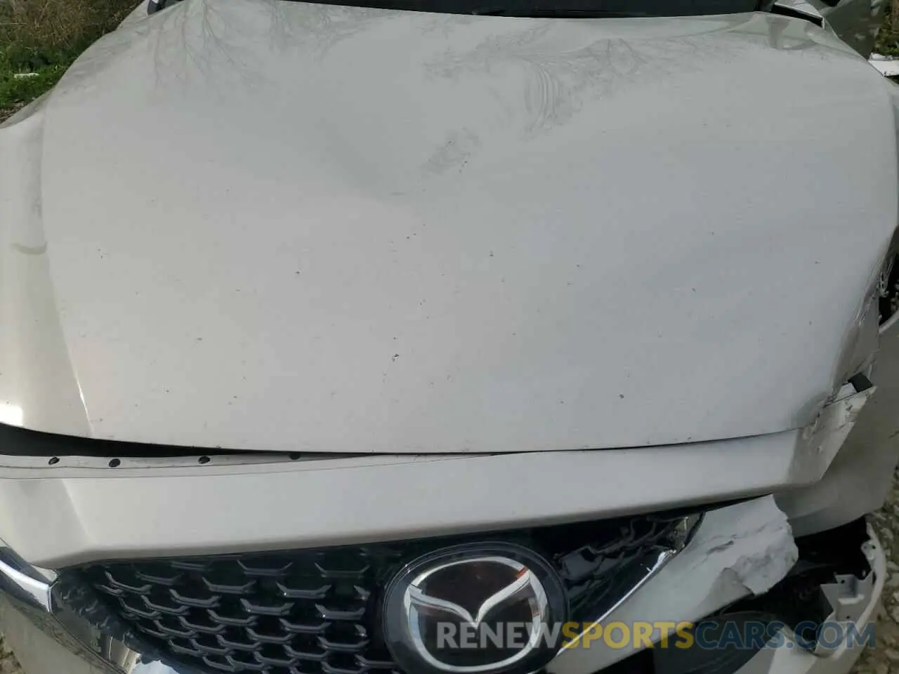 12 Photograph of a damaged car JM3KFBCL4S0548280 MAZDA CX-5 PREFE 2025