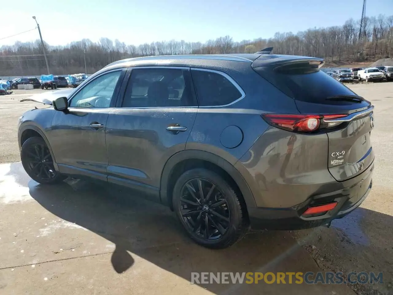 2 Фотография поврежденного автомобиля JM3TCBAY3N0609893 MAZDA CX-9 2022