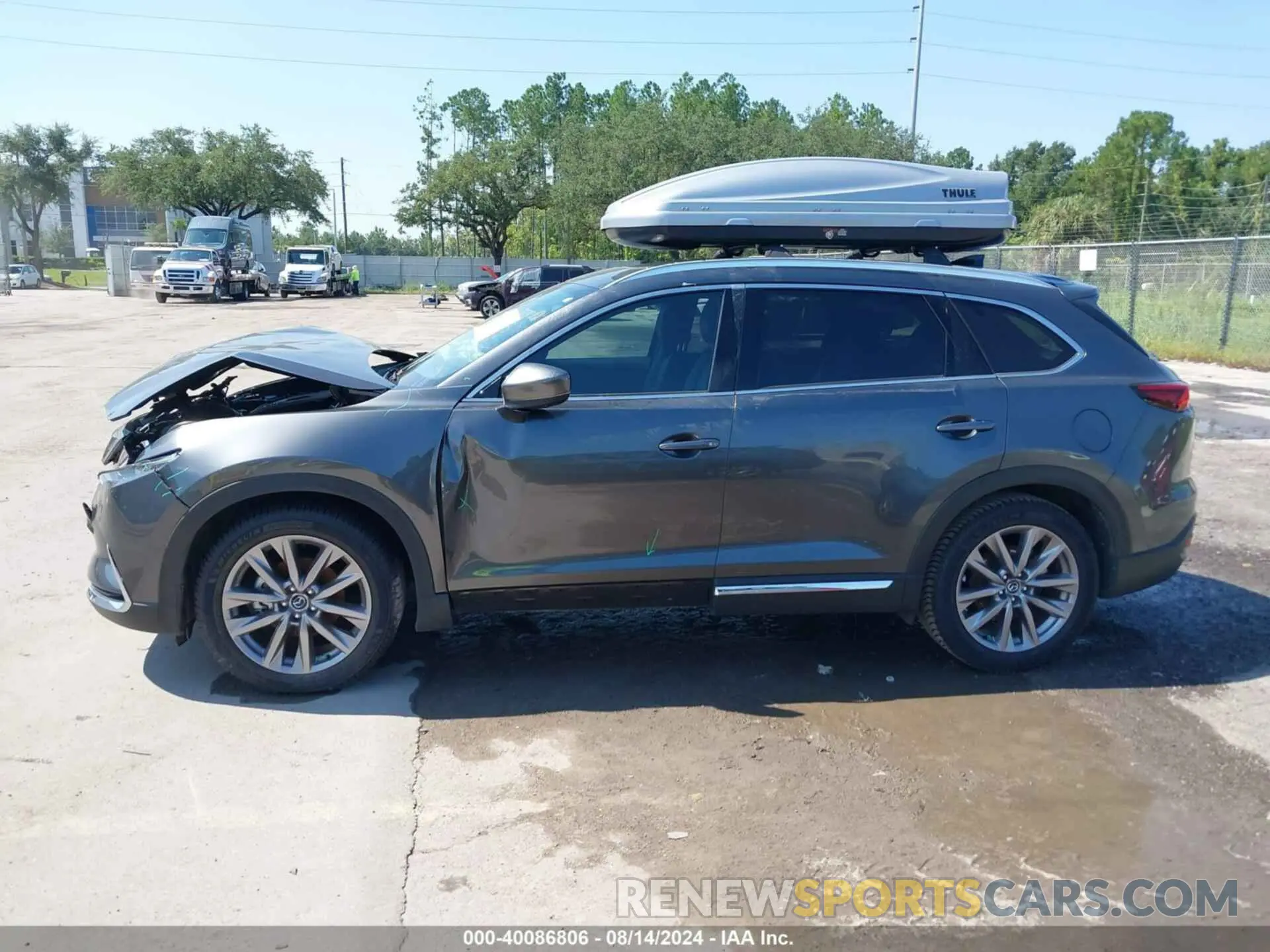14 Photograph of a damaged car JM3TCBDY4N0618680 MAZDA CX-9 2022