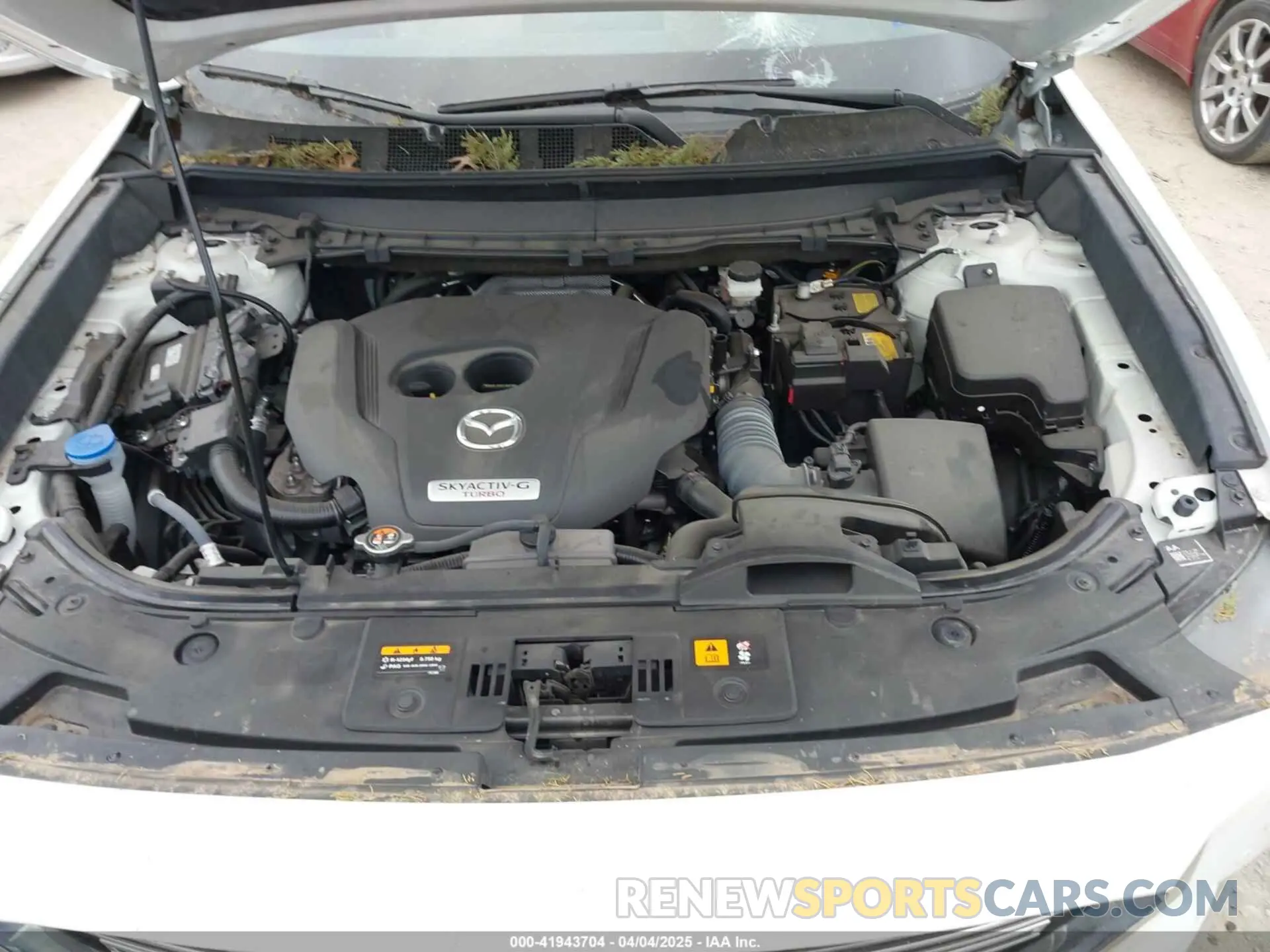 10 Photograph of a damaged car JM3TCBDY0P0634099 MAZDA CX-9 2023