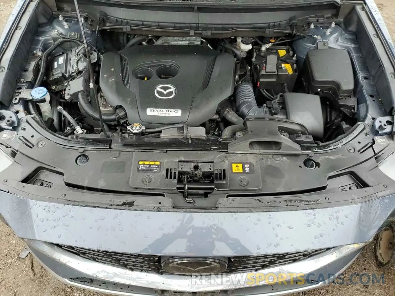14 Photograph of a damaged car JM3TCBDY2P0636162 MAZDA CX-9 2023