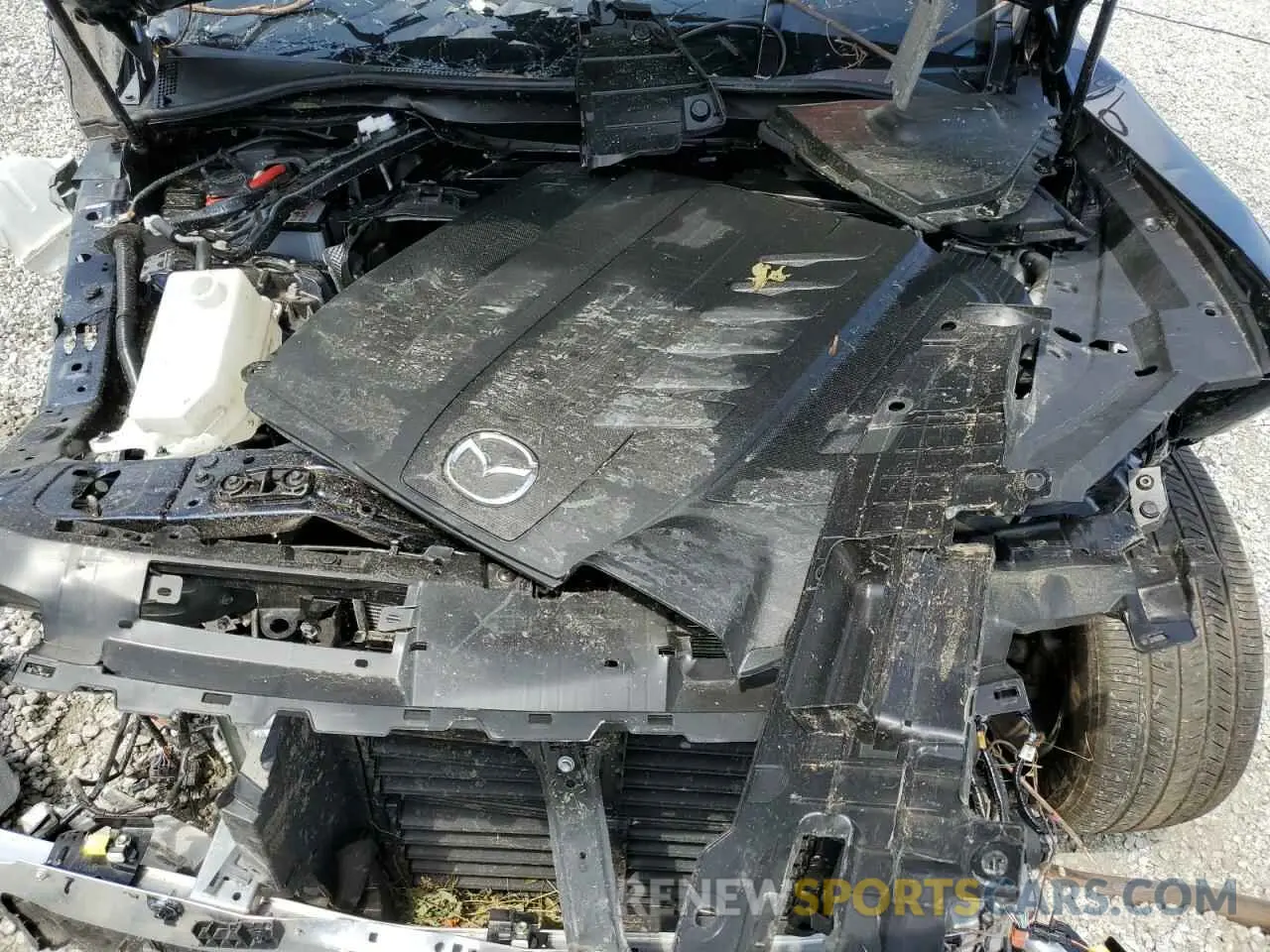 12 Фотография поврежденного автомобиля JM3KKAHDXR1181168 MAZDA CX-90 2024