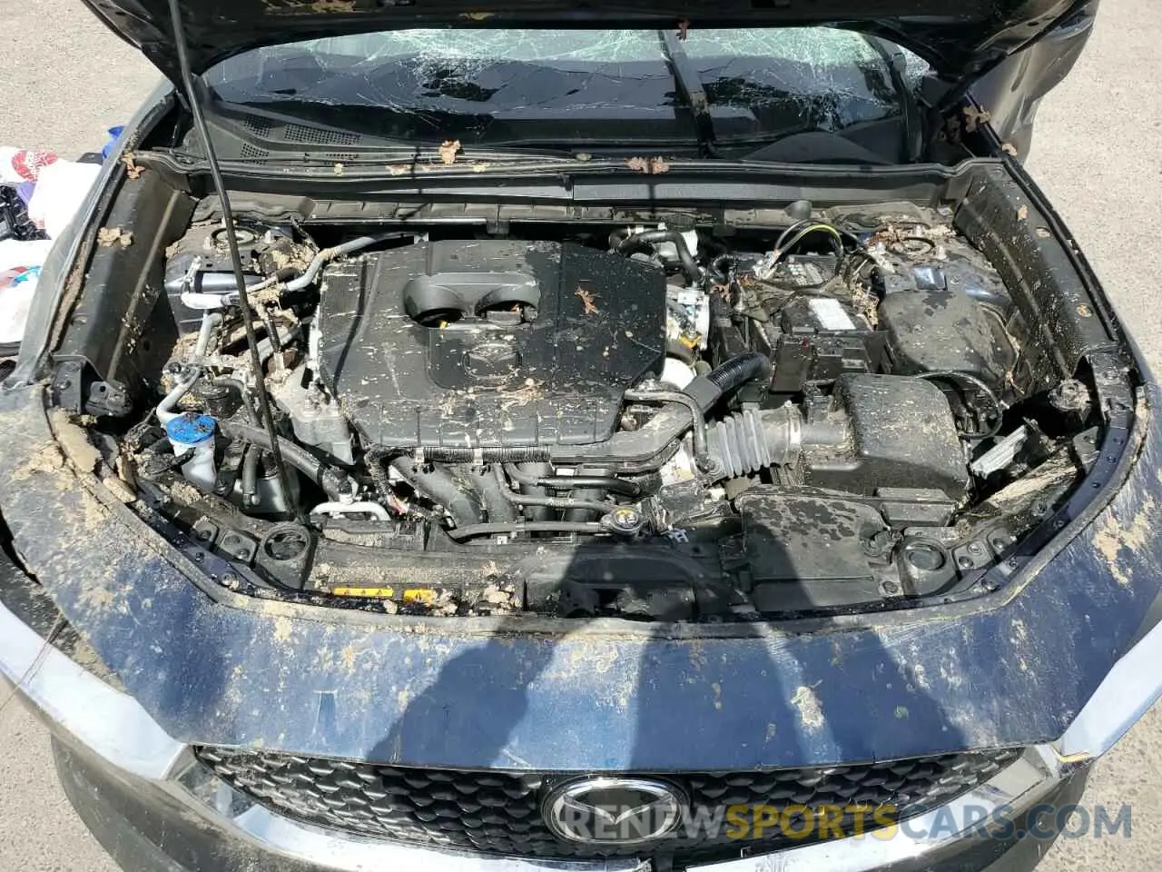 12 Фотография поврежденного автомобиля 3MVDMBBM0RM696496 MAZDA CX30 2024