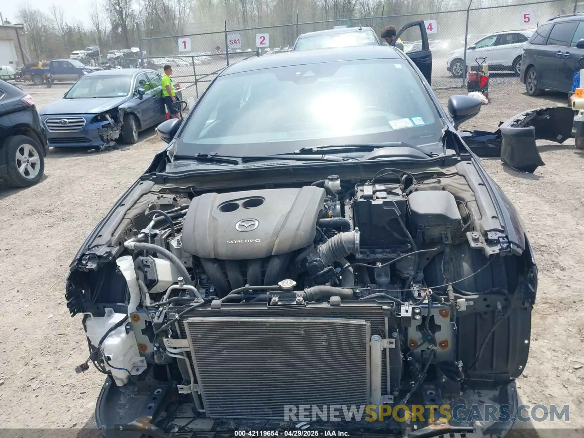13 Photograph of a damaged car JM1BPANM4K1115882 MAZDA MAZDA3 2019