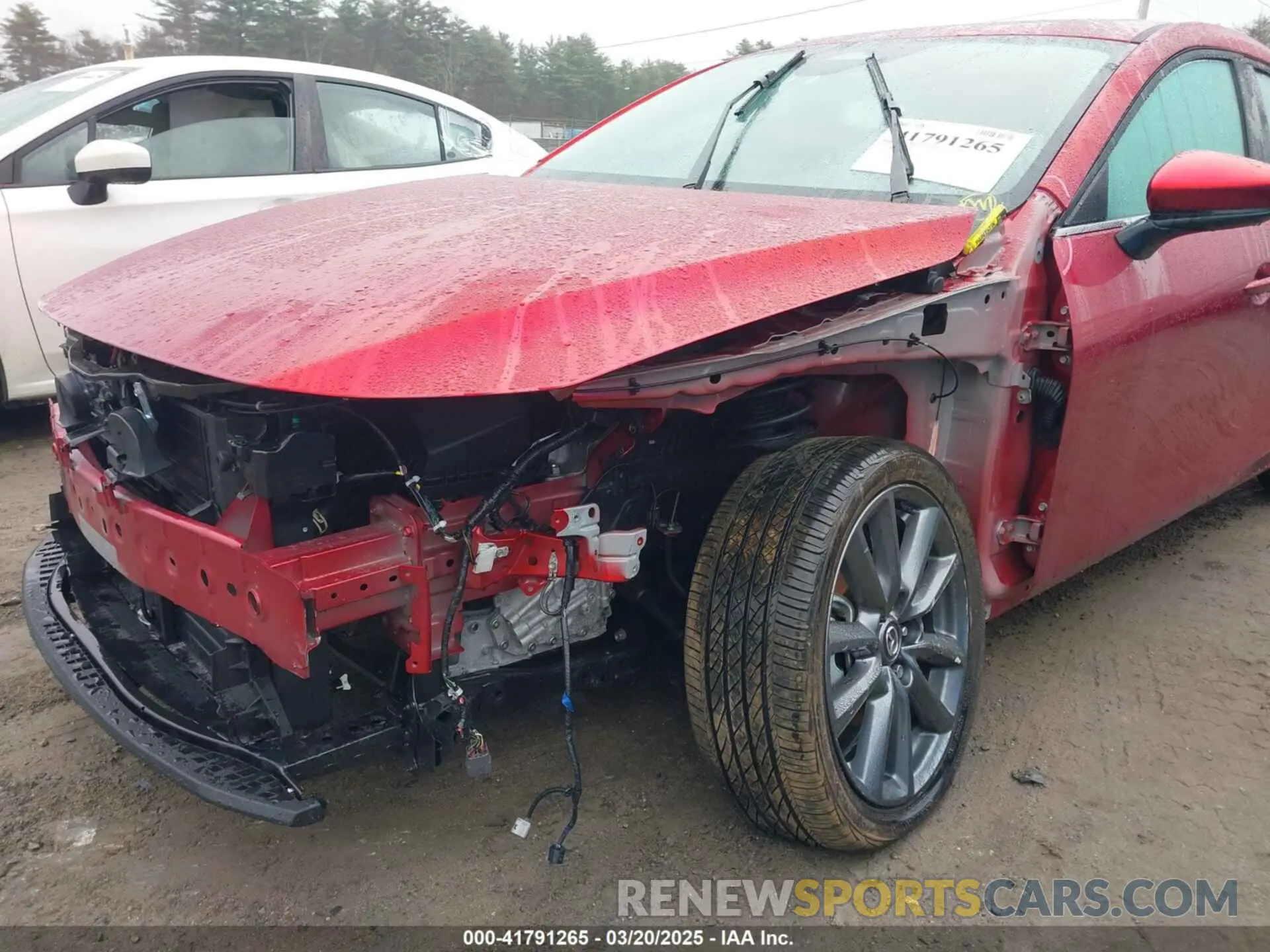 6 Photograph of a damaged car JM1BPALM1S1751954 MAZDA MAZDA3 2025