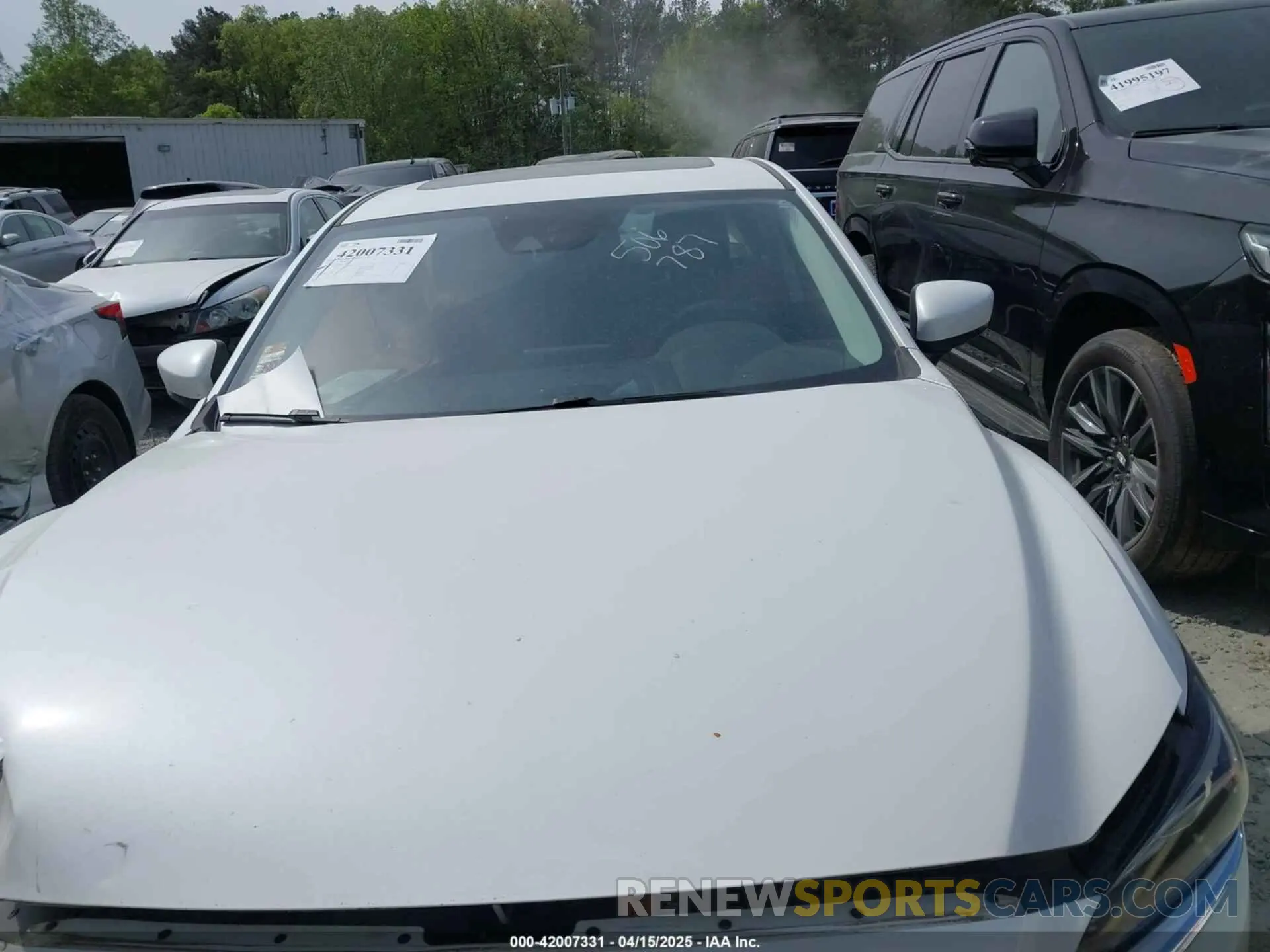 12 Photograph of a damaged car JM1GL1VM2K1506787 MAZDA MAZDA6 2019