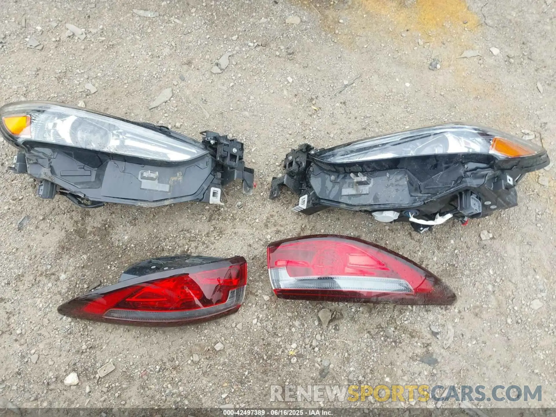 12 Фотография поврежденного автомобиля JM1GL1VM8M1603074 MAZDA MAZDA6 2021