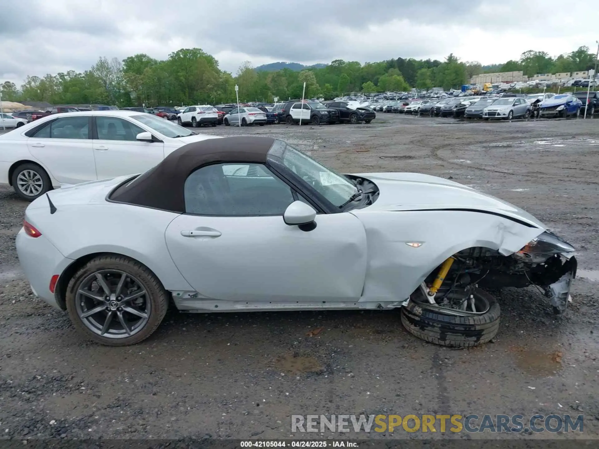 13 Фотография поврежденного автомобиля JM1NDAD77K0304999 MAZDA MX-5 MIATA 2019