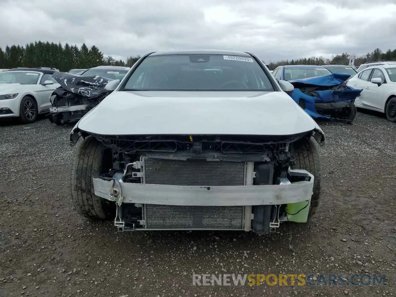 5 Photograph of a damaged car W1K3G4FB4NJ347833 MERCEDES-BENZ A-CLASS 2022