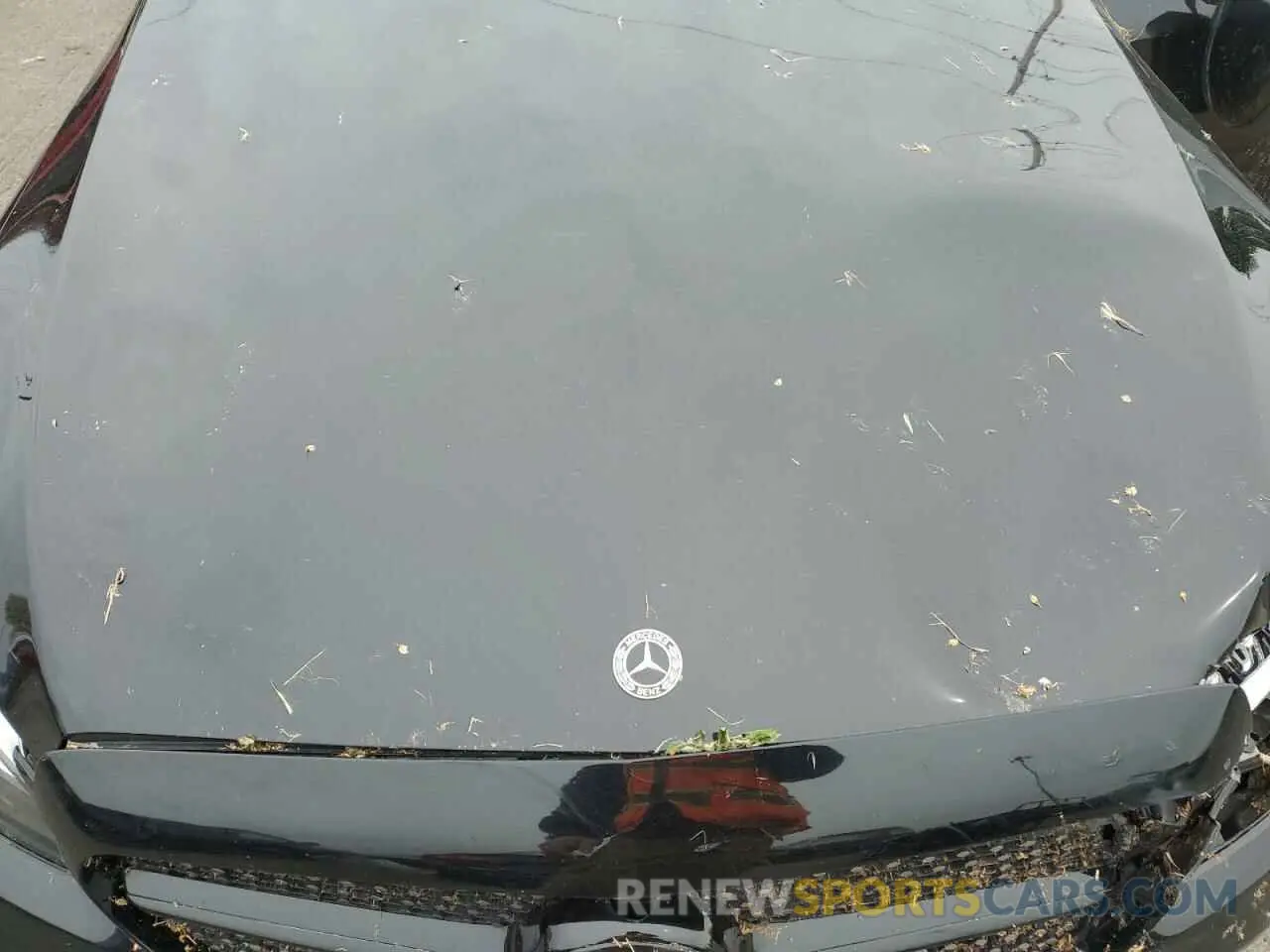 12 Фотография поврежденного автомобиля W1KWJ8DBXPG117254 MERCEDES-BENZ C-CLASS 2023