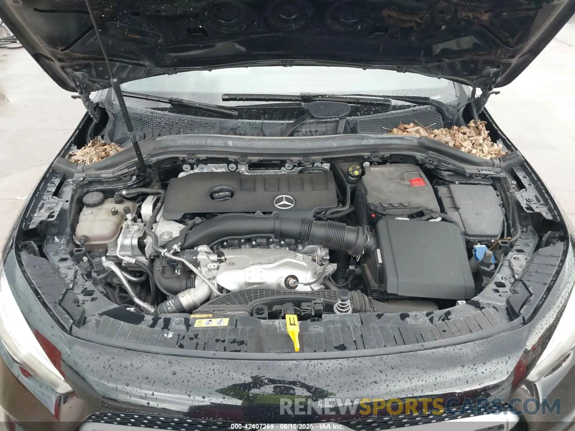 10 Photograph of a damaged car W1N4N4GB0NJ342432 MERCEDES-BENZ GLA 250 2022