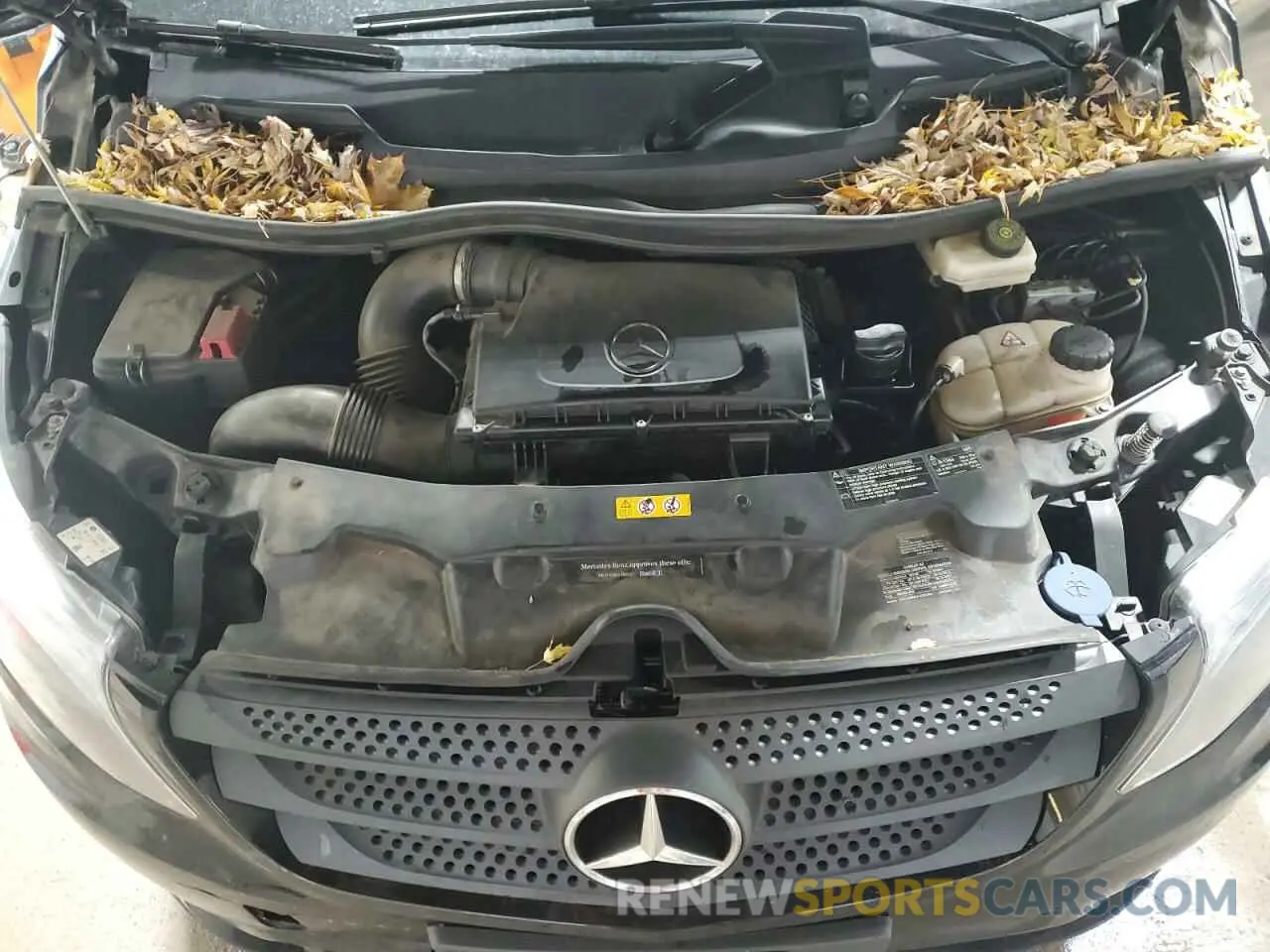 12 Photograph of a damaged car WD4PG2EE5K3576393 MERCEDES-BENZ METRIS 2019