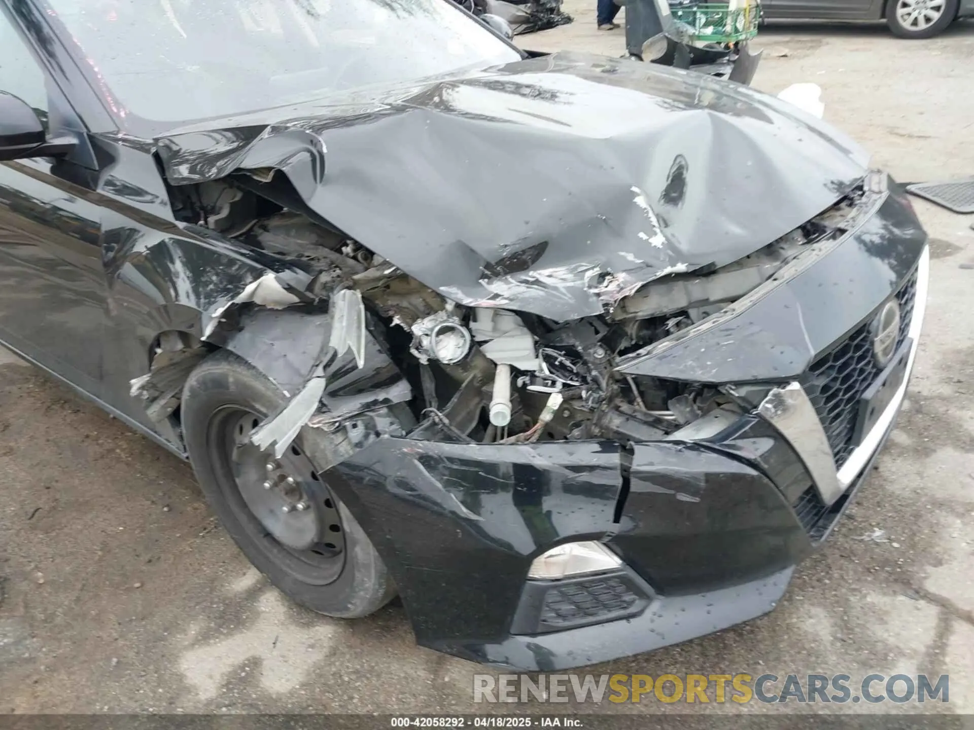 6 Photograph of a damaged car 1N4BL4BV2KN317158 NISSAN ALTIMA 2019