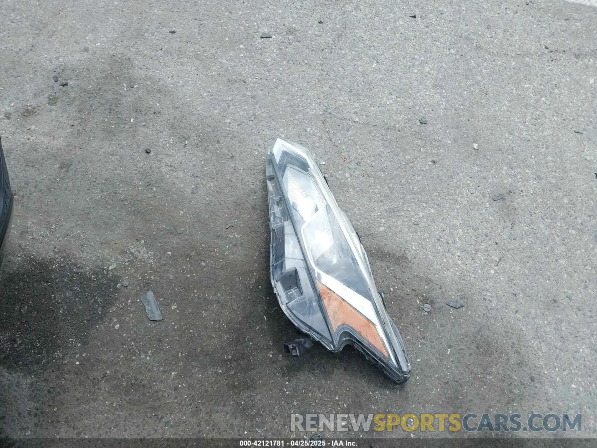 12 Photograph of a damaged car 1N4BL4BV5KN307594 NISSAN ALTIMA 2019