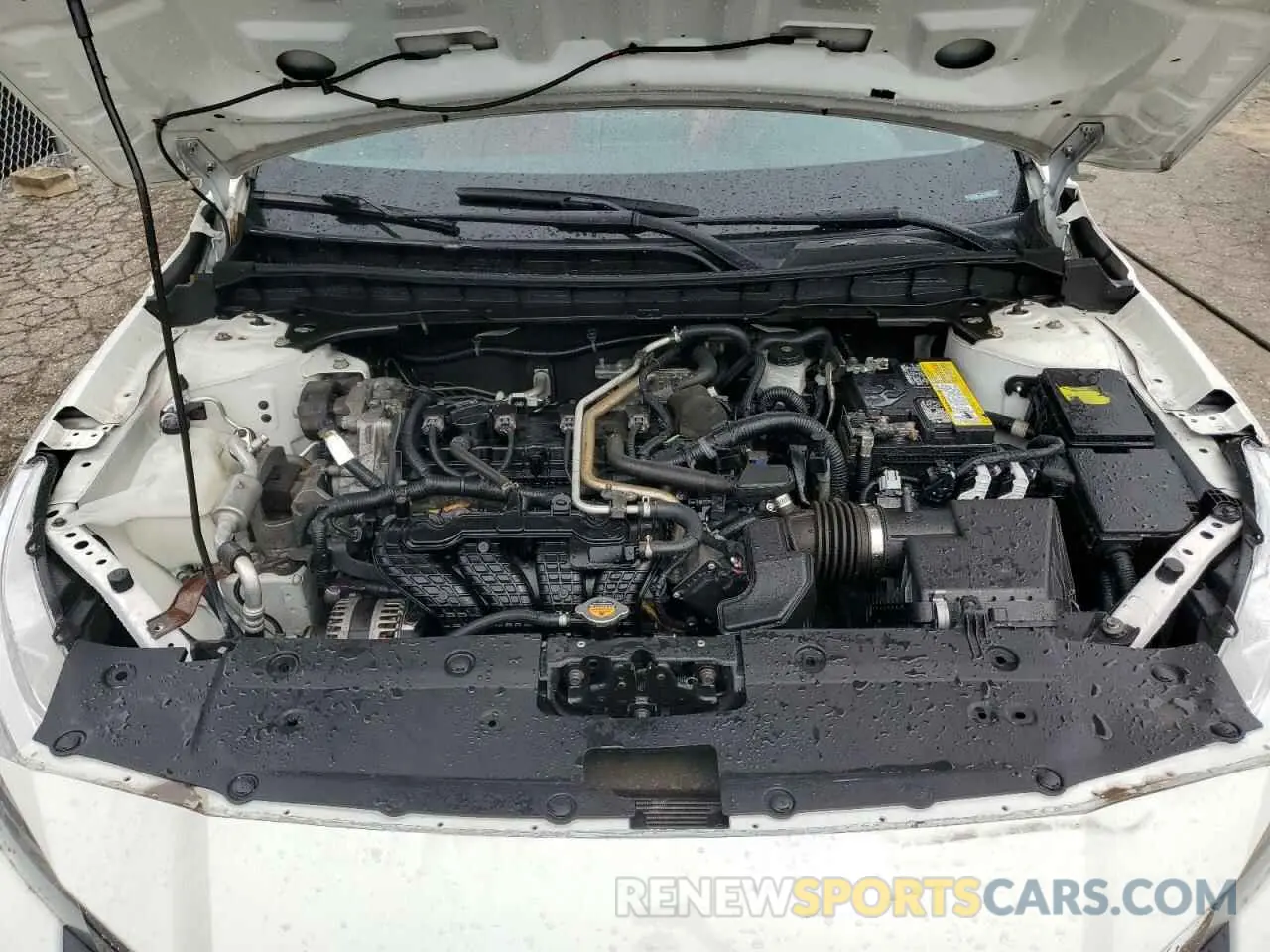11 Photograph of a damaged car 1N4BL4BV7KN302896 NISSAN ALTIMA 2019