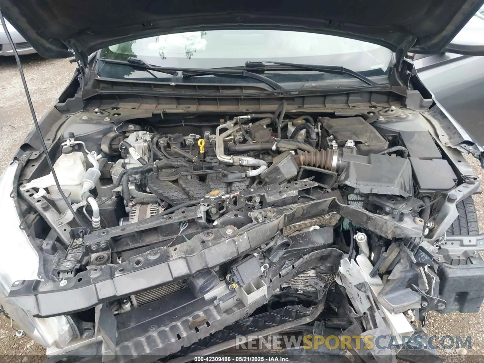 10 Photograph of a damaged car 1N4BL4BW3KC156937 NISSAN ALTIMA 2019