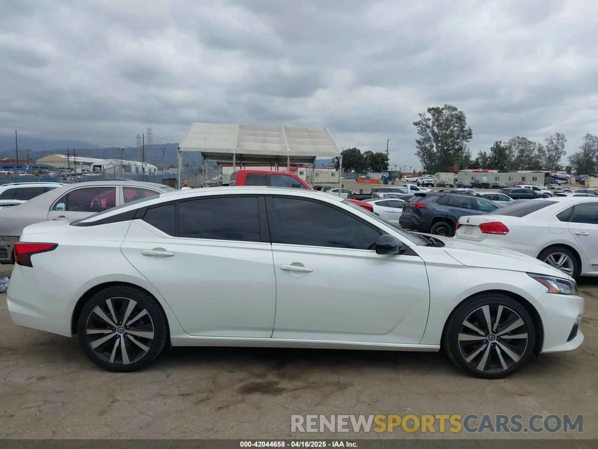13 Photograph of a damaged car 1N4BL4CV4KC120227 NISSAN ALTIMA 2019