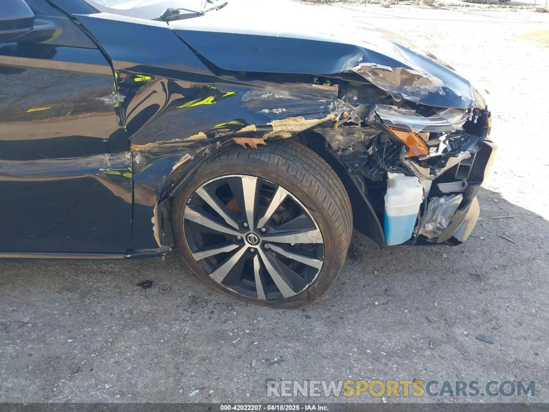 6 Photograph of a damaged car 1N4BL4CV6KC160518 NISSAN ALTIMA 2019