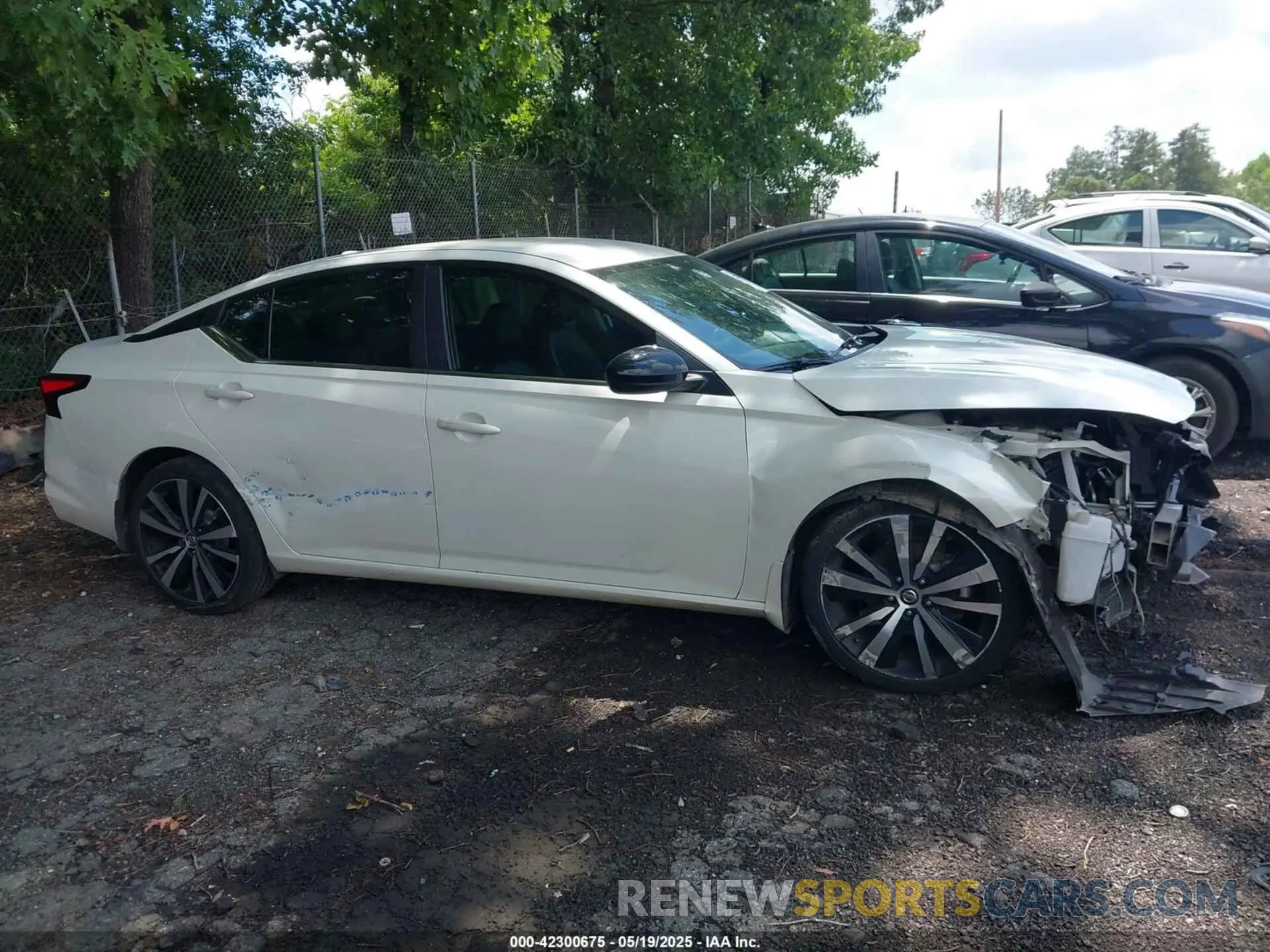 13 Photograph of a damaged car 1N4BL4CV6KC167825 NISSAN ALTIMA 2019