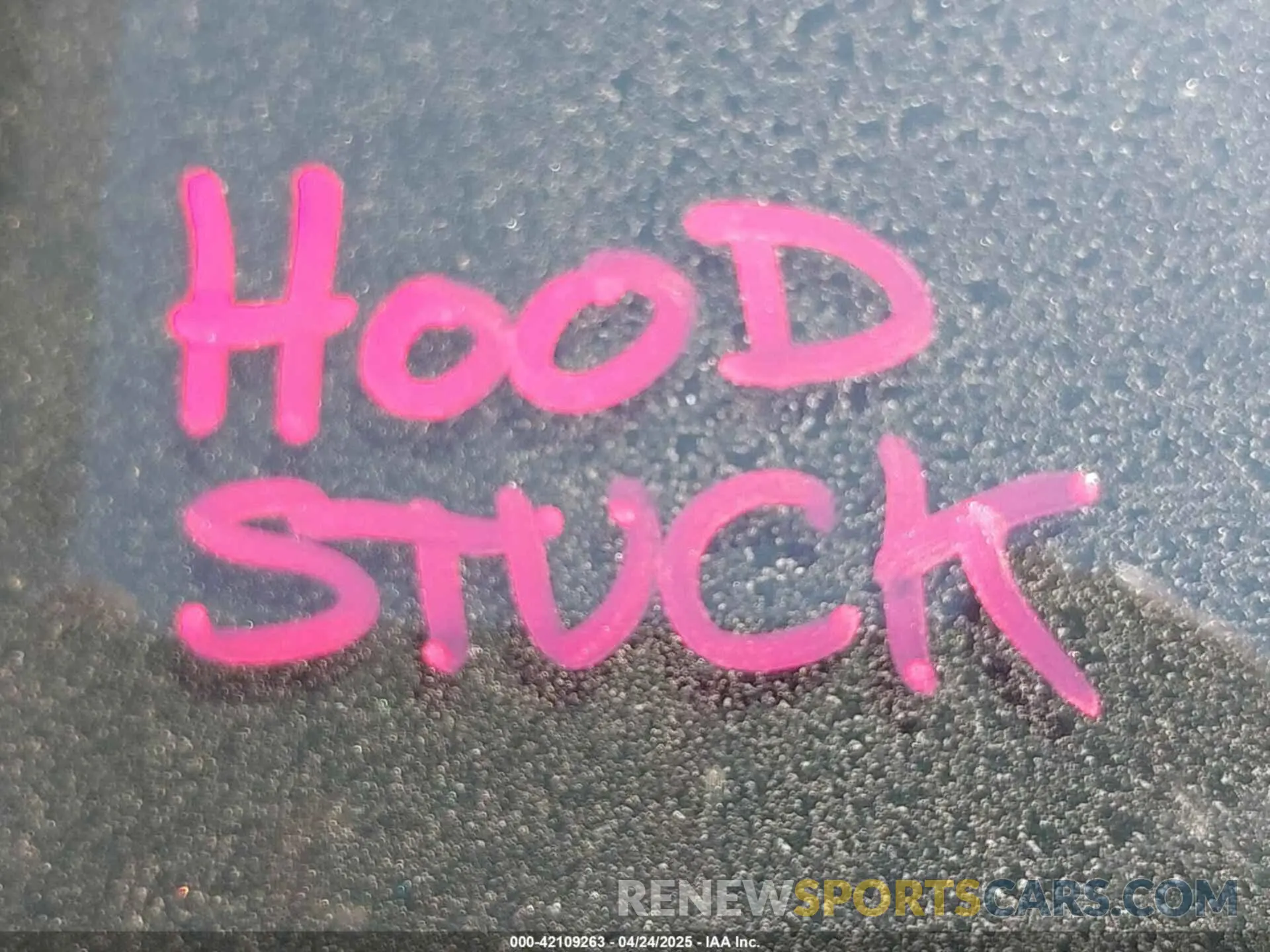 10 Photograph of a damaged car 1N4BL4CW1KC256520 NISSAN ALTIMA 2019
