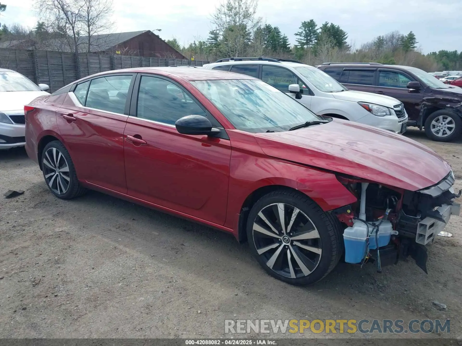 14 Photograph of a damaged car 1N4BL4CW6KN321480 NISSAN ALTIMA 2019