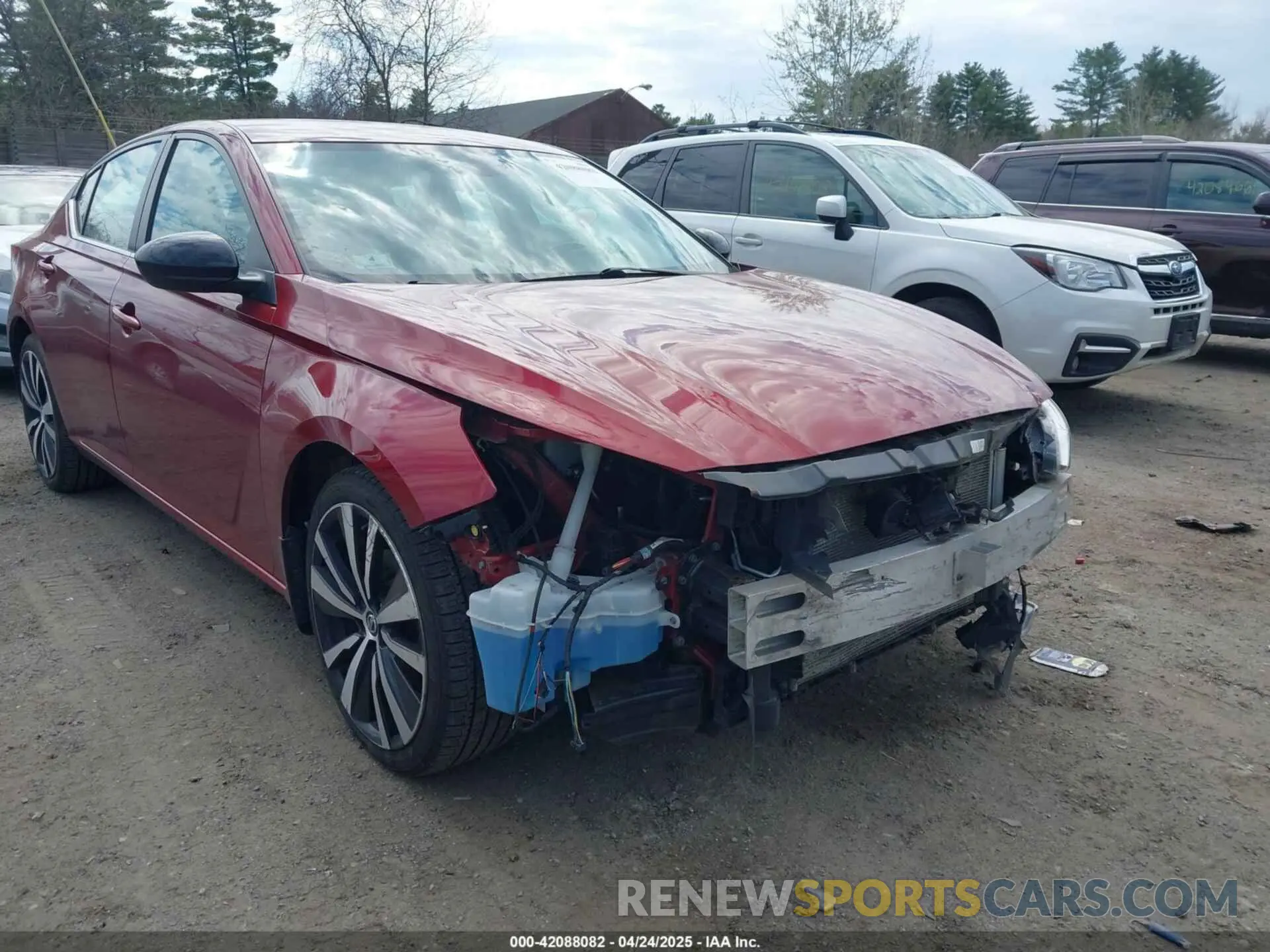 6 Photograph of a damaged car 1N4BL4CW6KN321480 NISSAN ALTIMA 2019