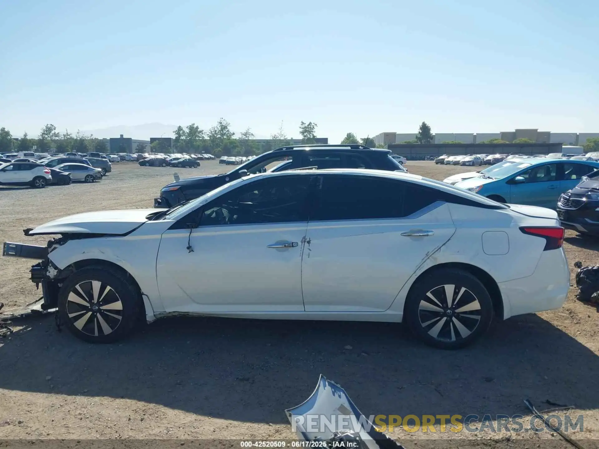 14 Photograph of a damaged car 1N4BL4DV1KC146590 NISSAN ALTIMA 2019