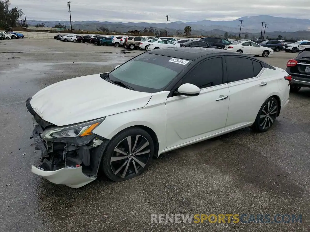 1 Photograph of a damaged car 1N4BL4EV0KC242855 NISSAN ALTIMA 2019